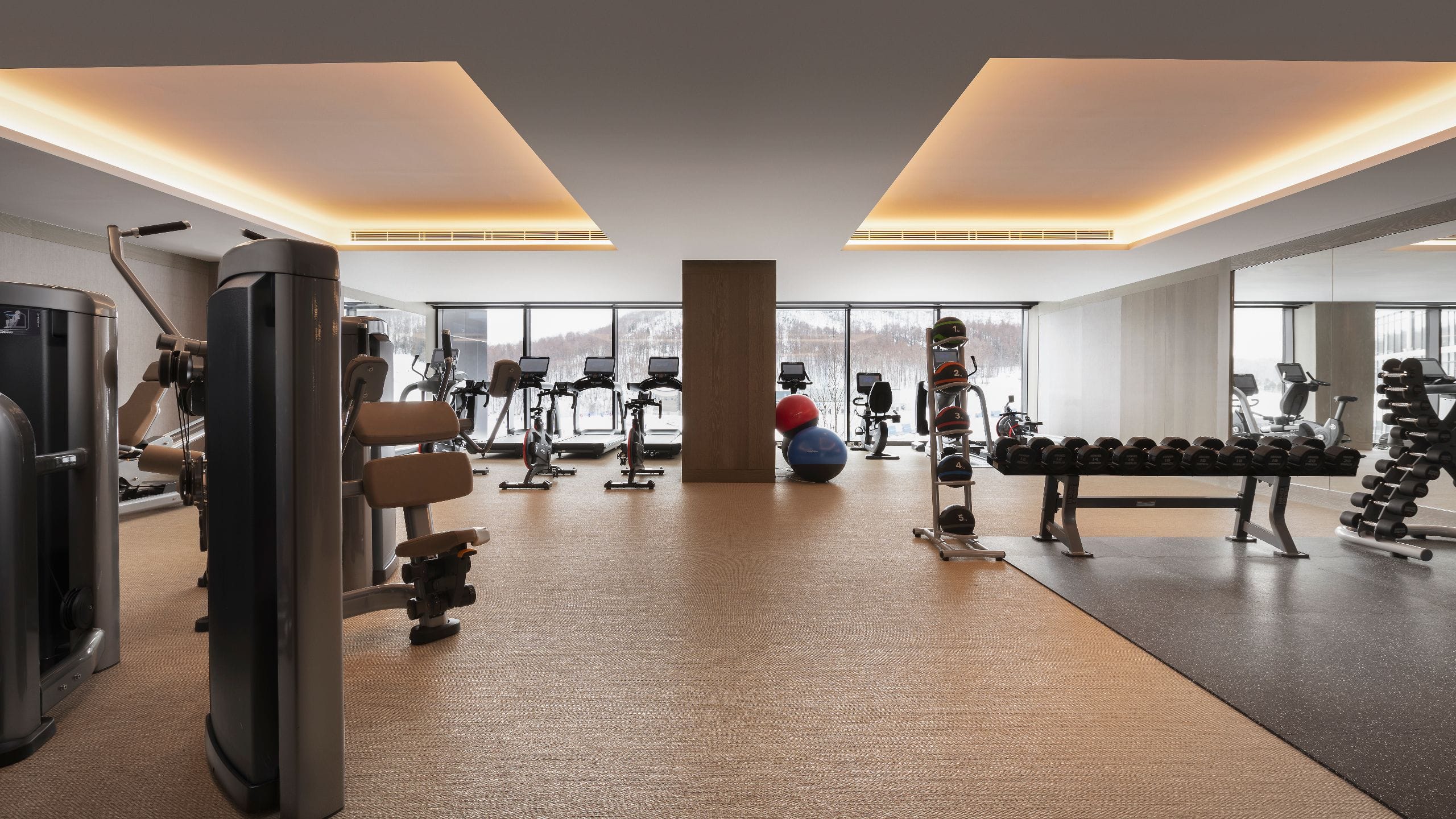Park Hyatt Niseko Hanazono Gym