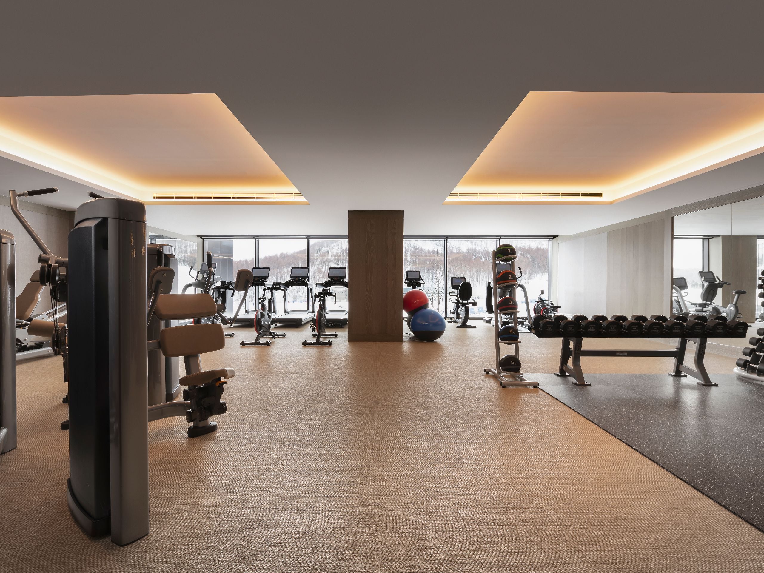 Park Hyatt Niseko Hanazono Gym