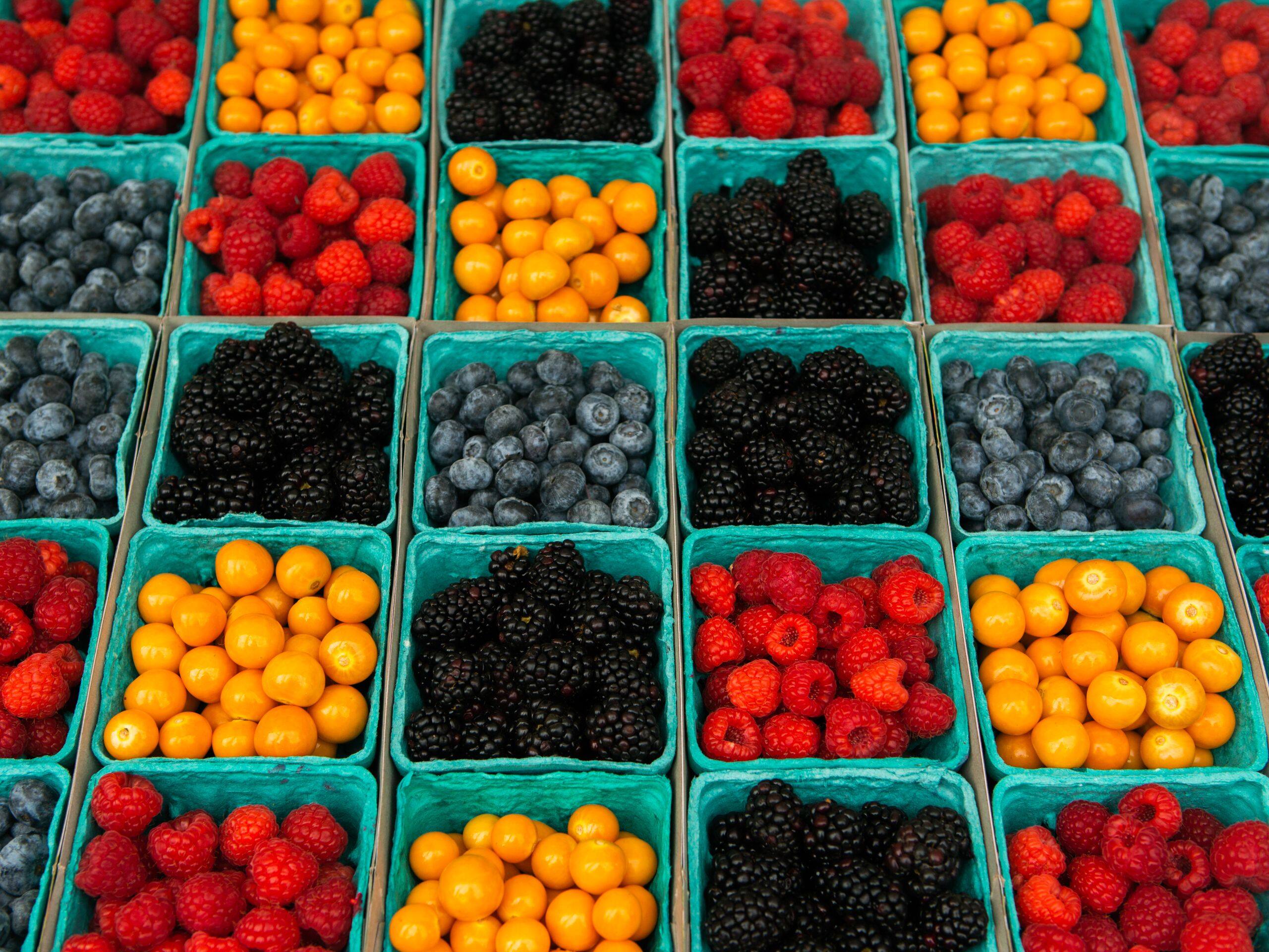 Global HY_P254 Los Angeles Farmers Market Berries