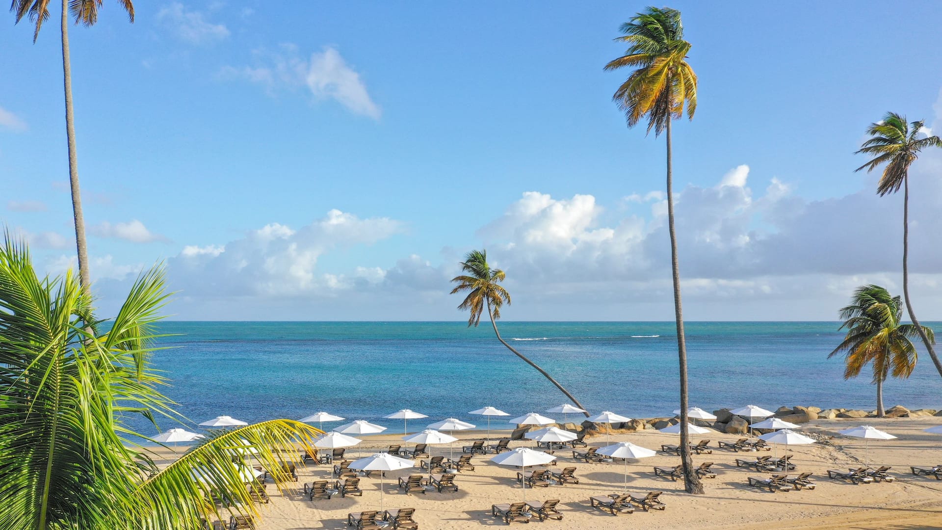 Hyatt Regency Grand Reserve Puerto Rico Beach View With Lounge Chairs