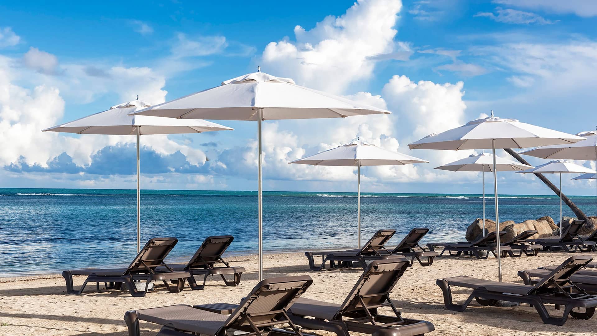 Hyatt Regency Grand Reserve Puerto Rico Beach Chairs
