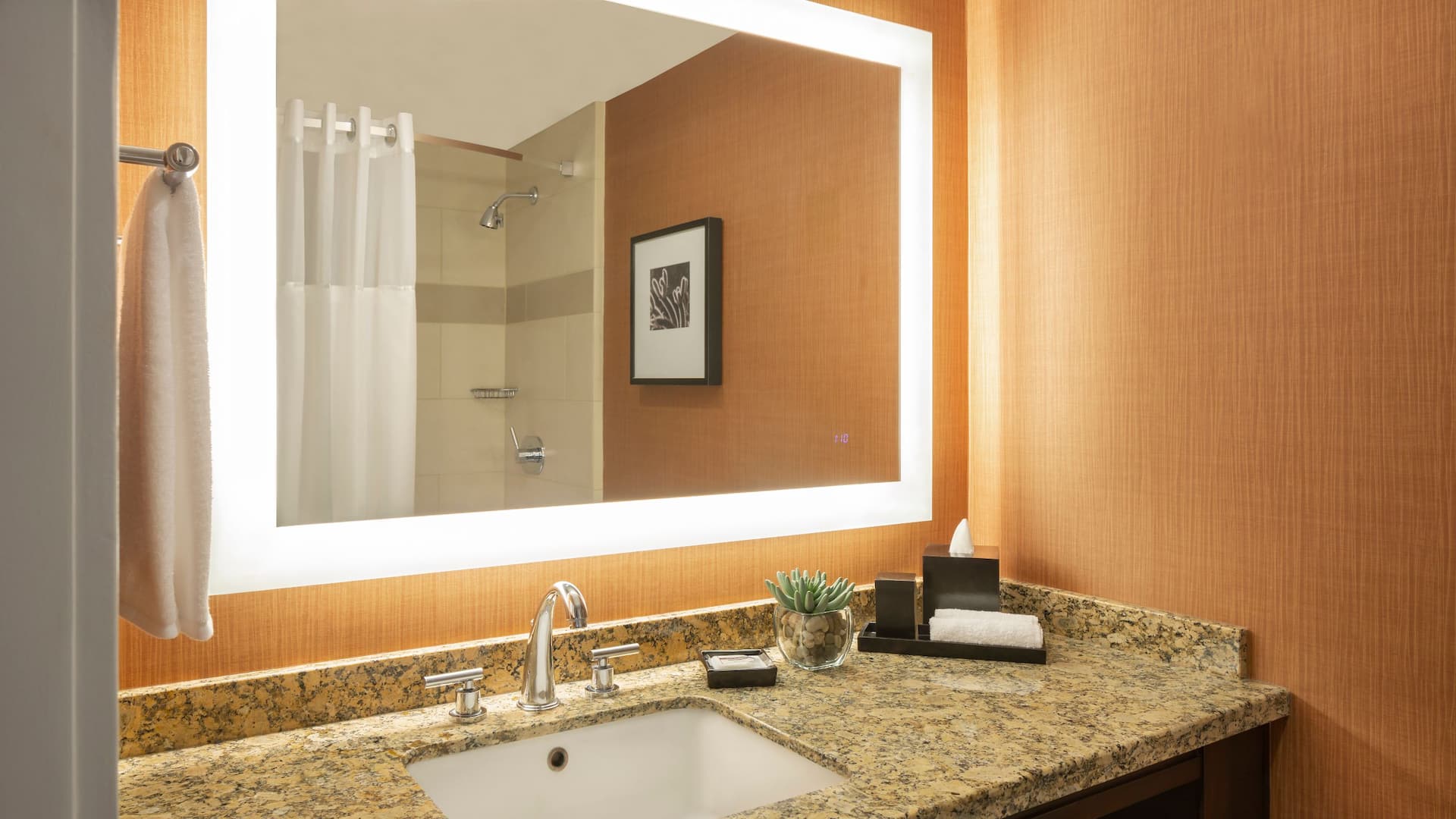 第 2，共 2 Hyatt Regency Phoenix Standard Bath