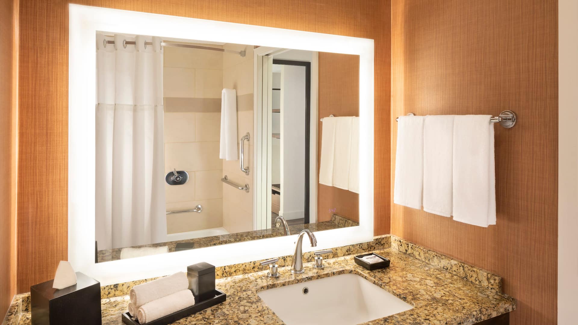 第 2，共 2 Hyatt Regency Phoenix ADA Bath Tub