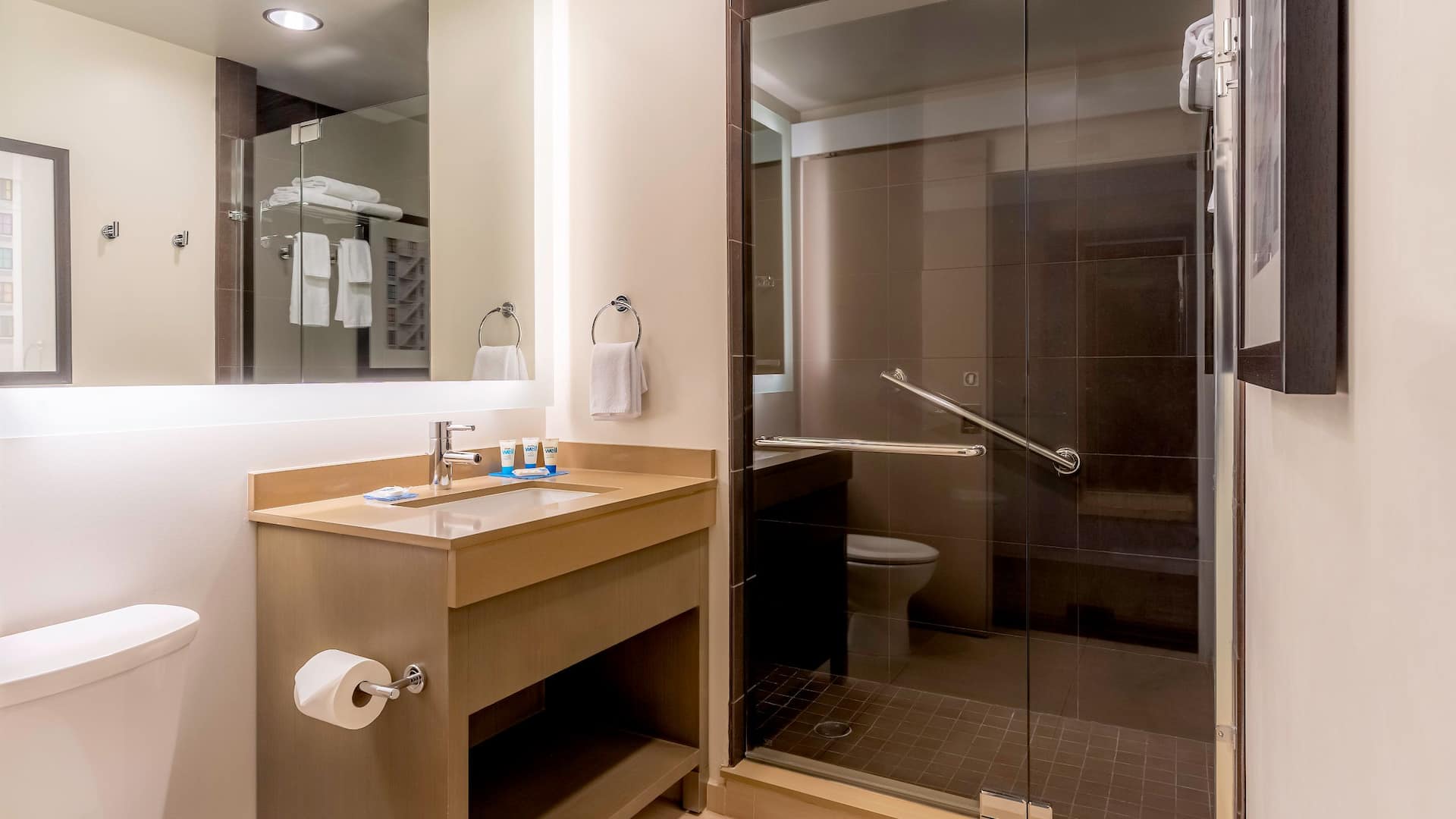 5 из 5 Hyatt House Salt Lake City/Downtown Bathroom