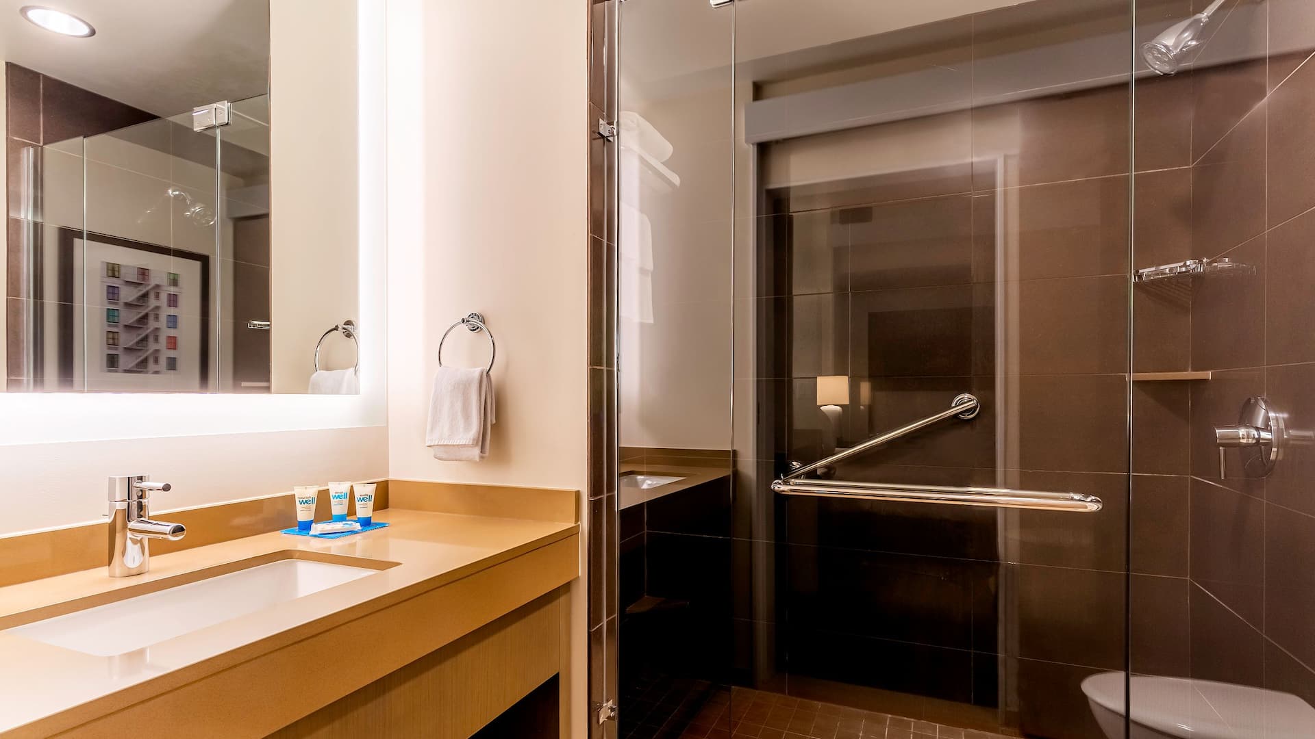 4 из 4 Hyatt House Salt Lake City/Downtown Bathroom