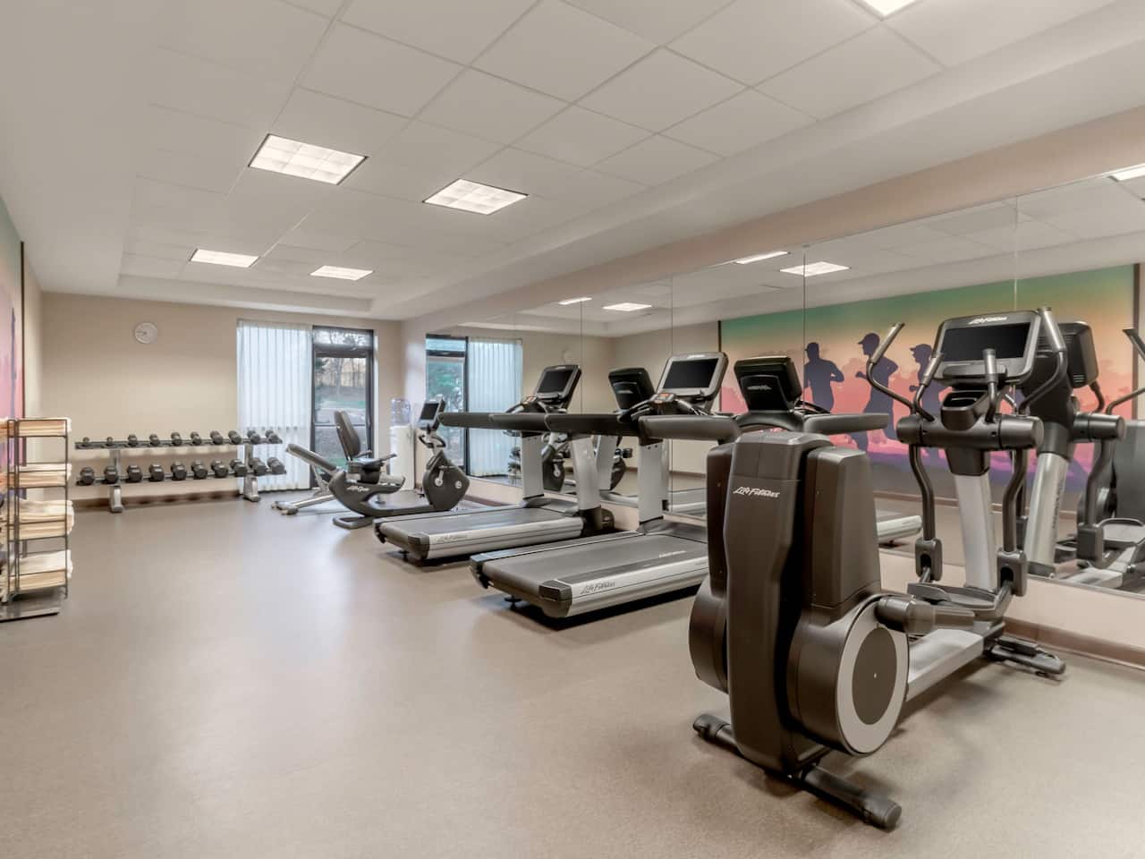 Hotel 24/7 fitness canter with free weights, treadmills, and elliptical machines at Hyatt Place Richmond / Arboretum