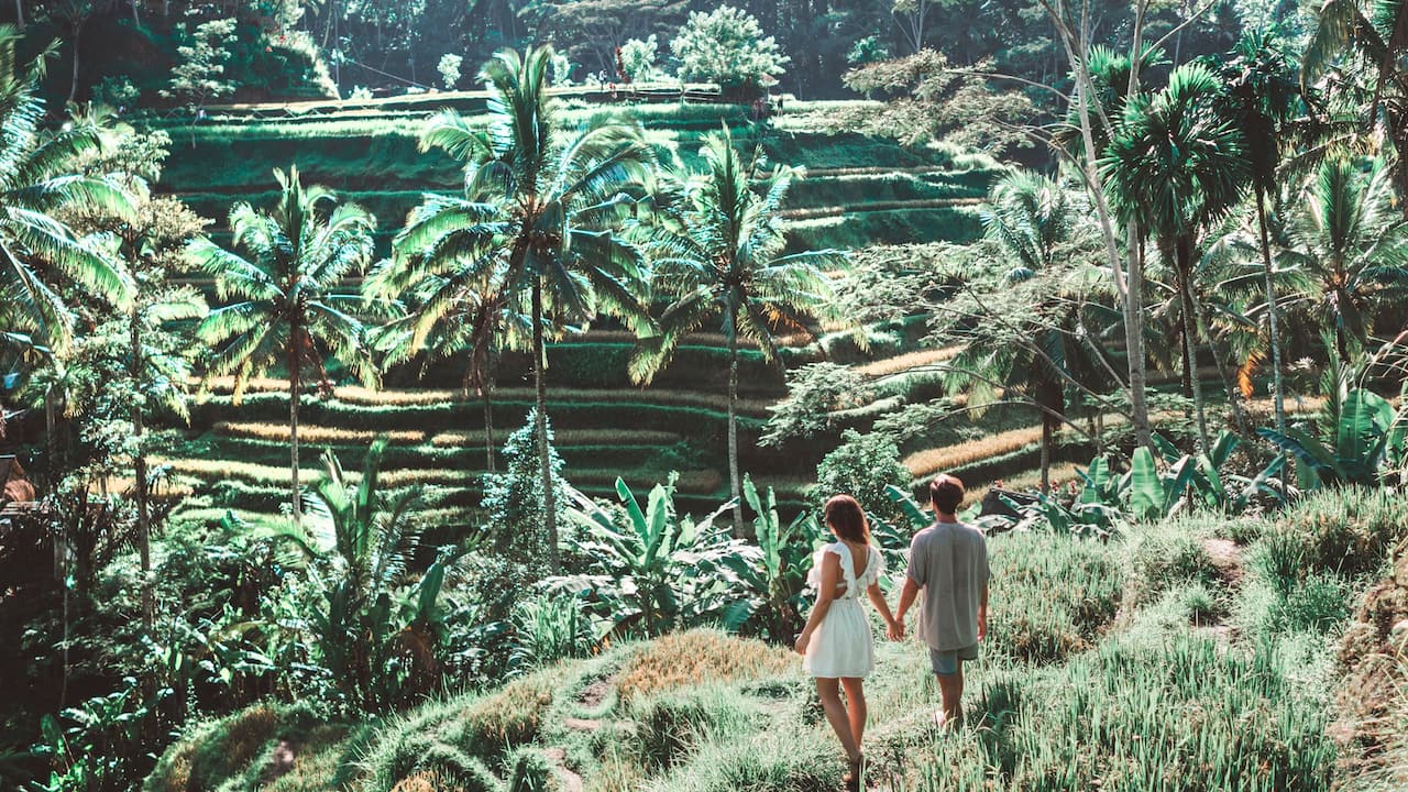 things to do in Bali