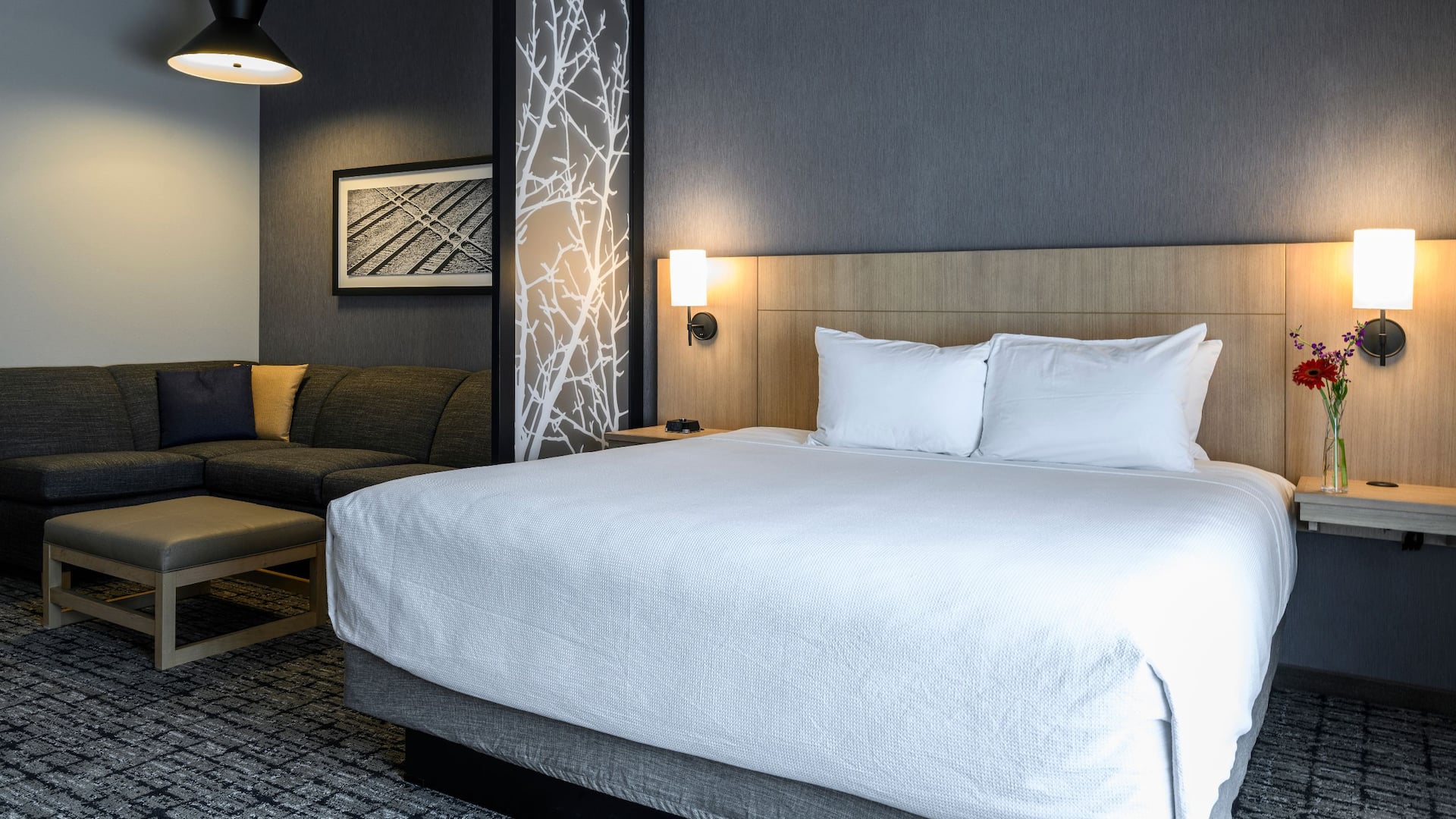 Hyatt Place Indianapolis / Fishers King