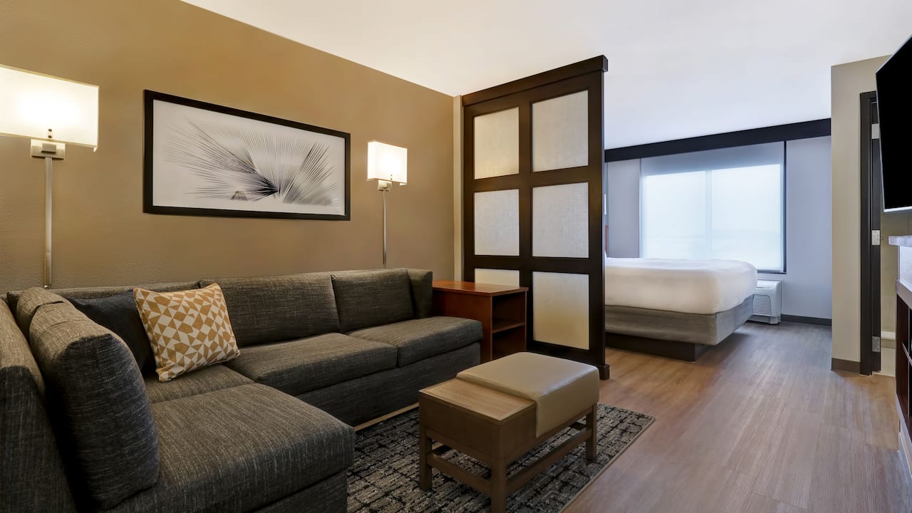 Hyatt Place San Antonio North/Stone Oak King Bed High Floor (with sofa bed)