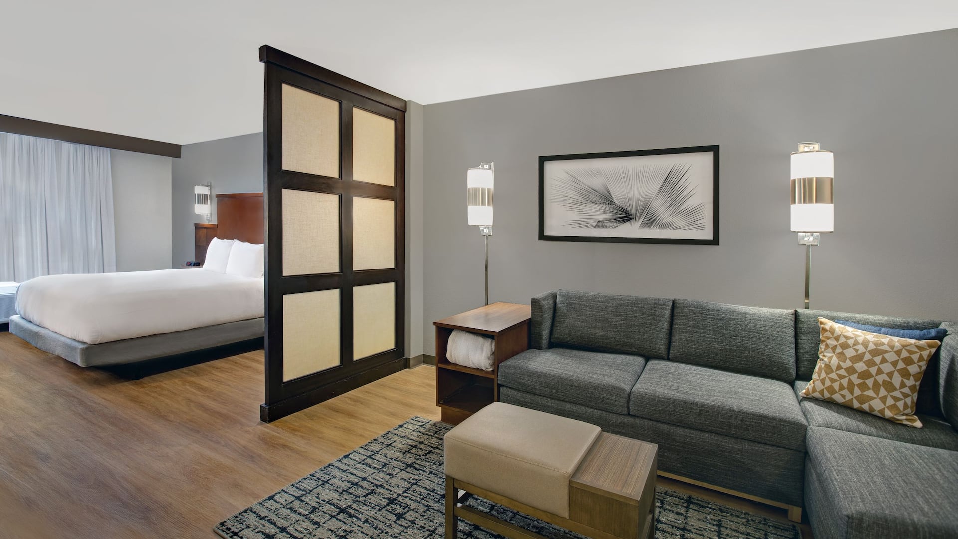 Hyatt Place Jackson/Ridgeland Accessible King Guestroom