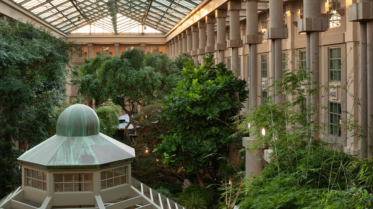 Hotel atrium with lush trees and plants at Hyatt Regency Greenwich