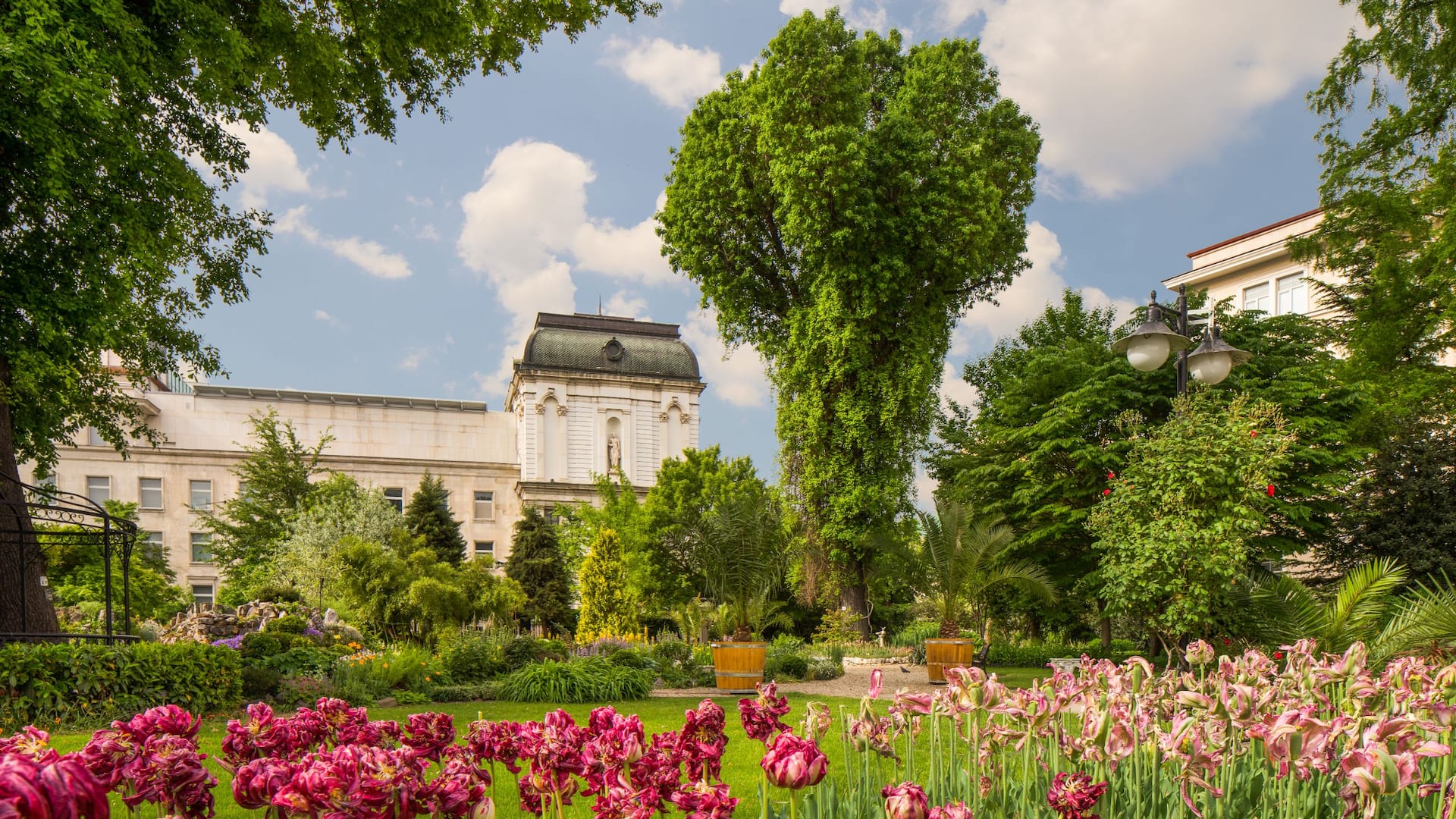 Hyatt Regency Sofia Area Attractions Botanic Garden
