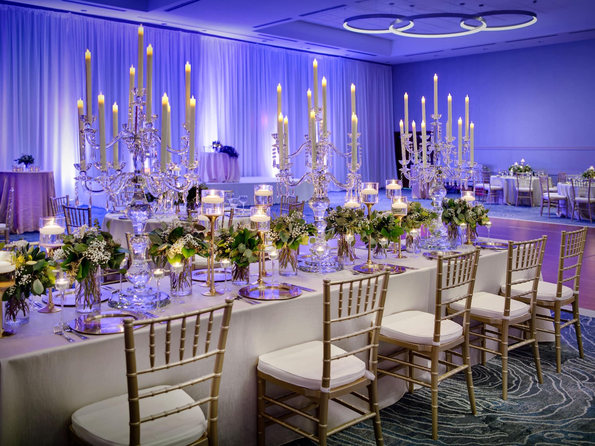 Hyatt Regency Dulles Luray Room DEF Wedding Reception Close Up