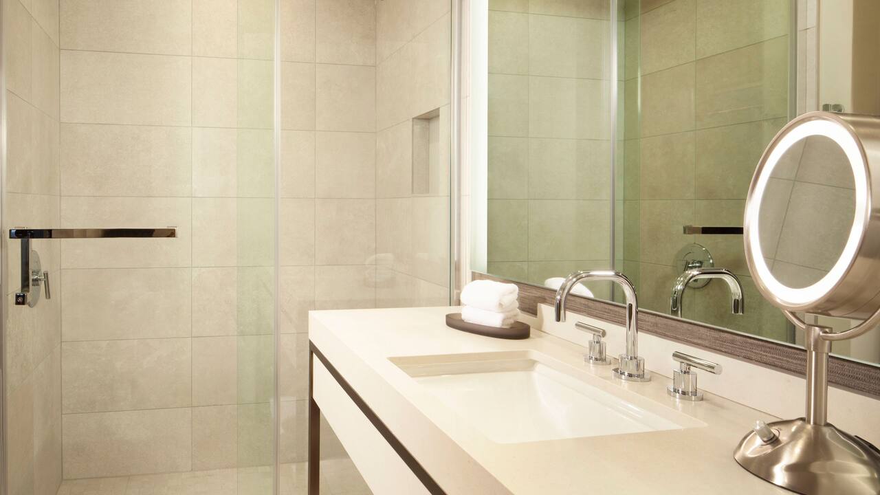 Guest Bathroom vanity with walk-in shower