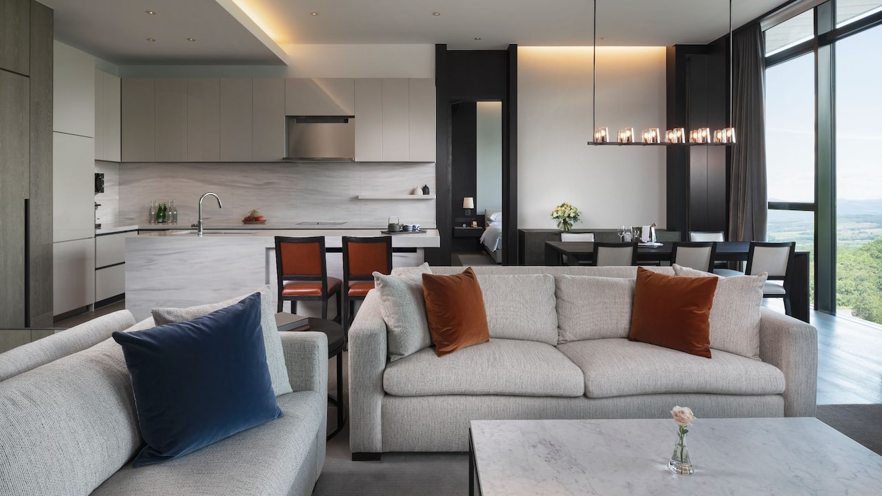Residence Penthouse Living Area