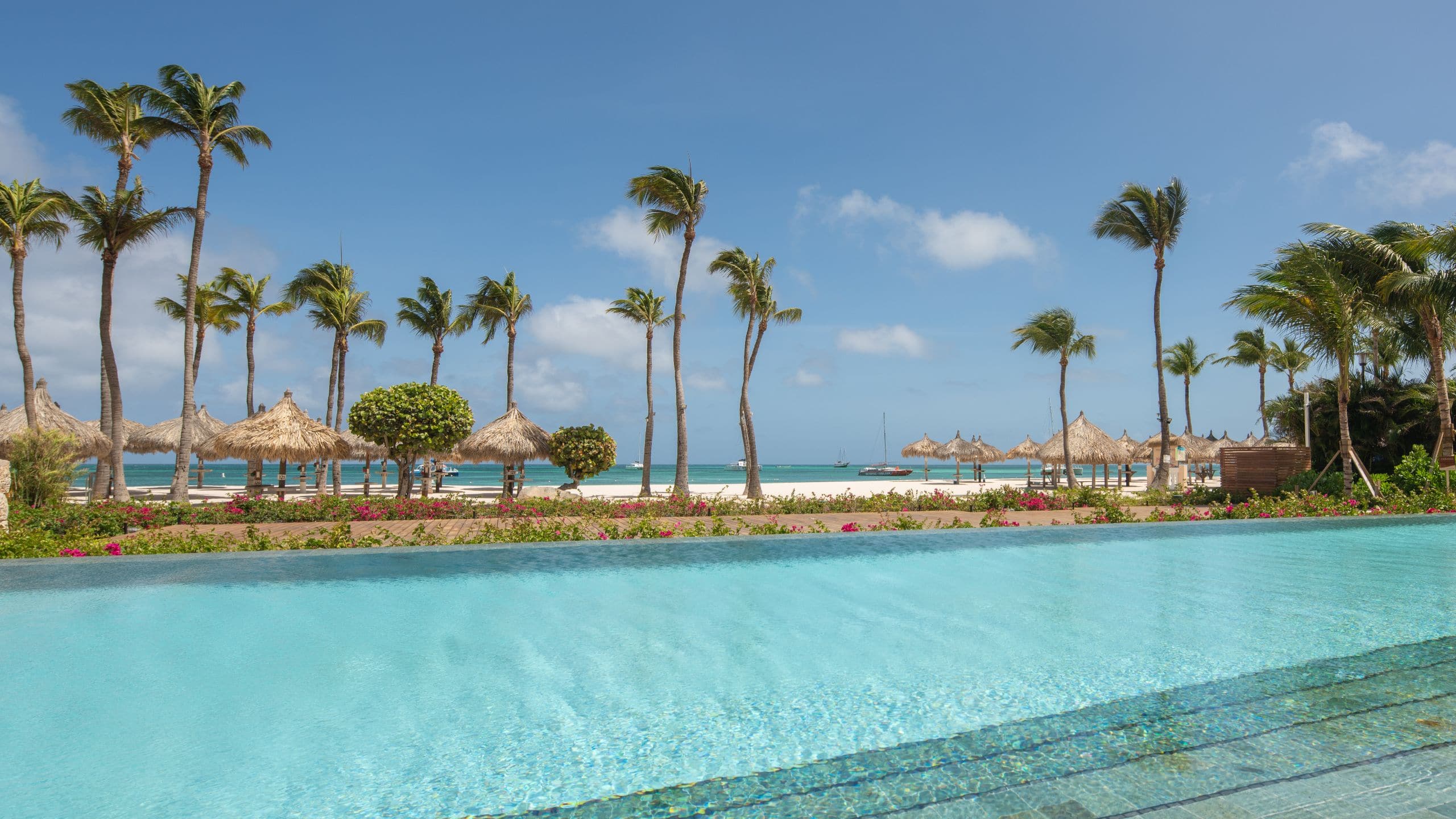 Hyatt Regency Aruba Resort Spa and Casino Trankilo Pool