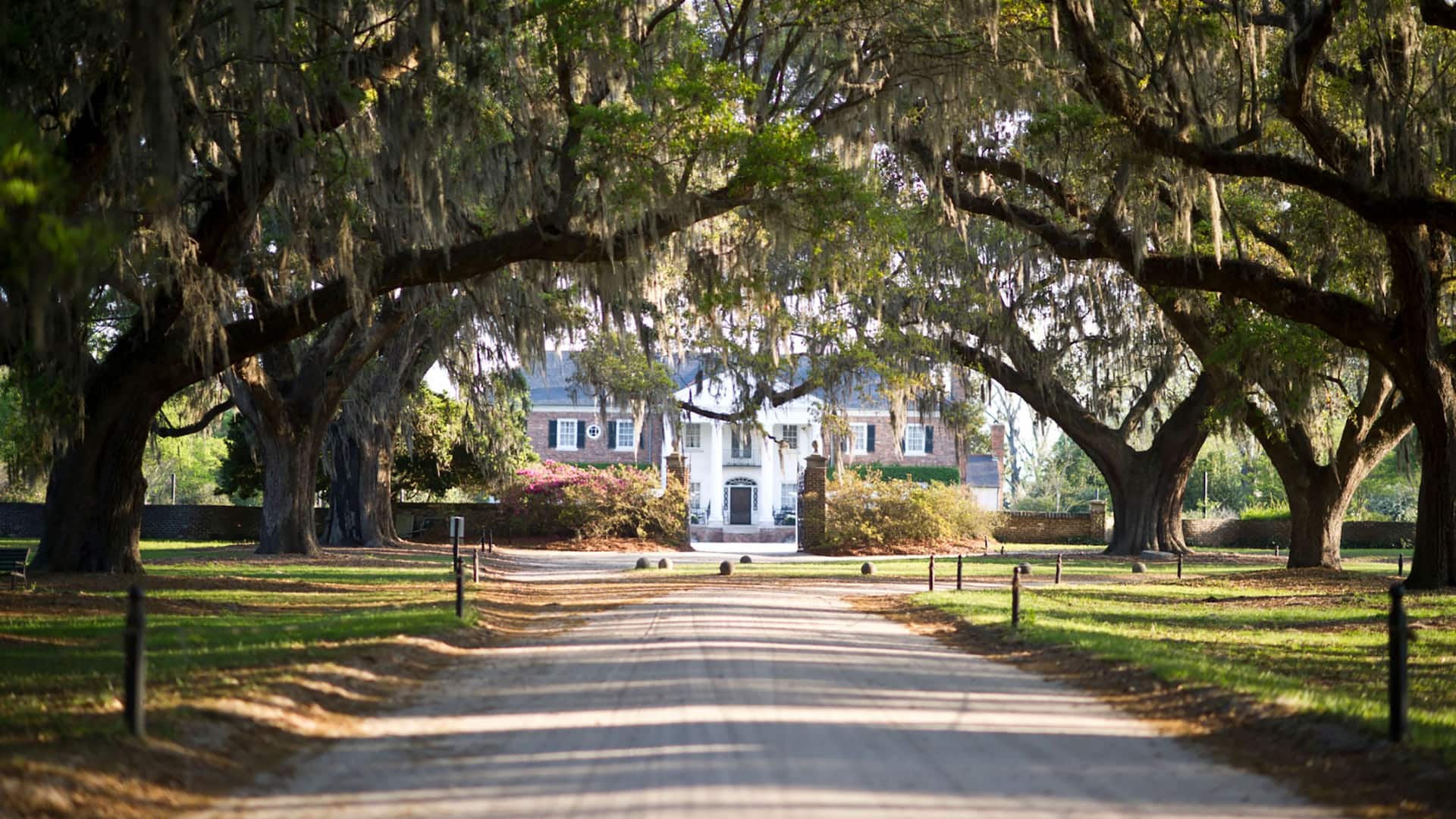 Hyatt House Charleston / Mount Pleasant Driveway