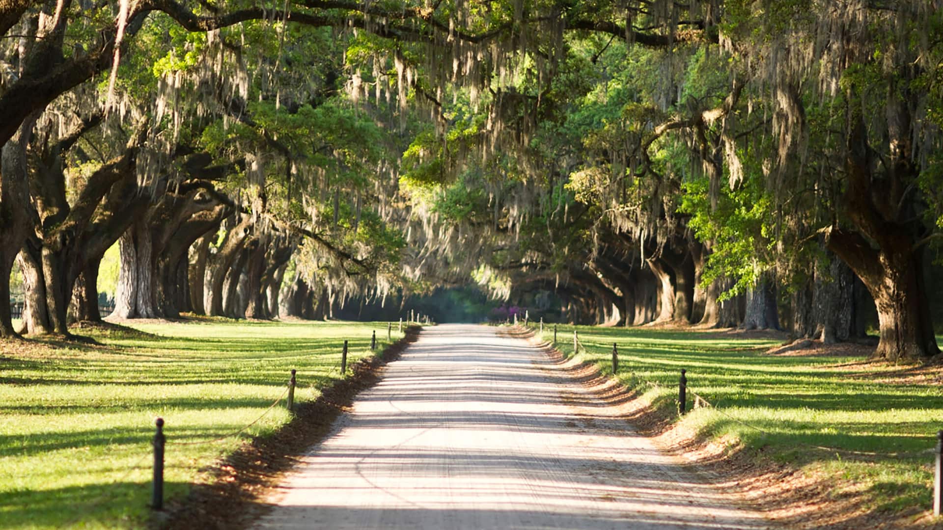 Hyatt House Charleston / Mount Pleasant Boone Hall Avenue of Oaks