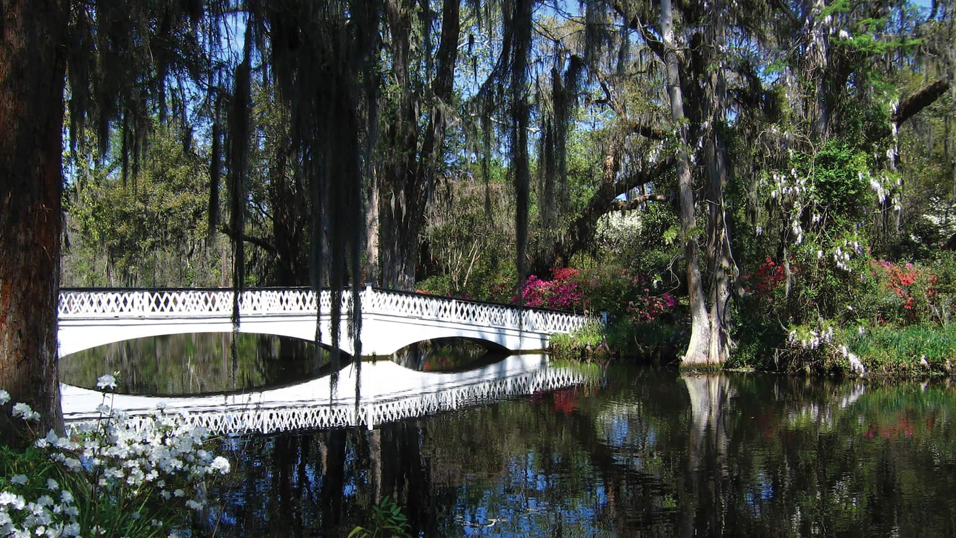 Hyatt House Charleston / Mount Pleasant Magnolia Plantation Bridge