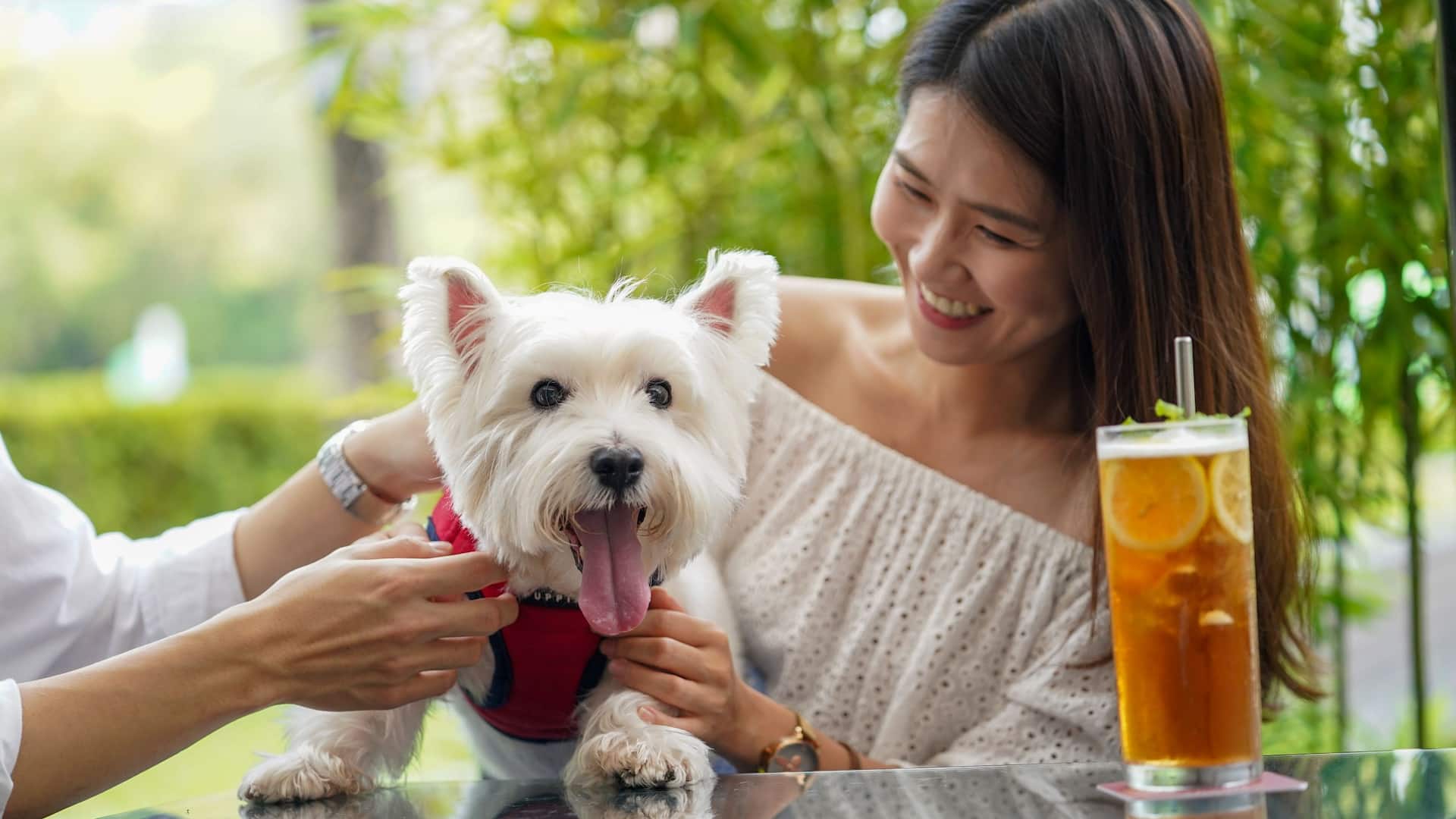 Grand Hyatt Taipei Pet Friendly Cheers Drinks Woman