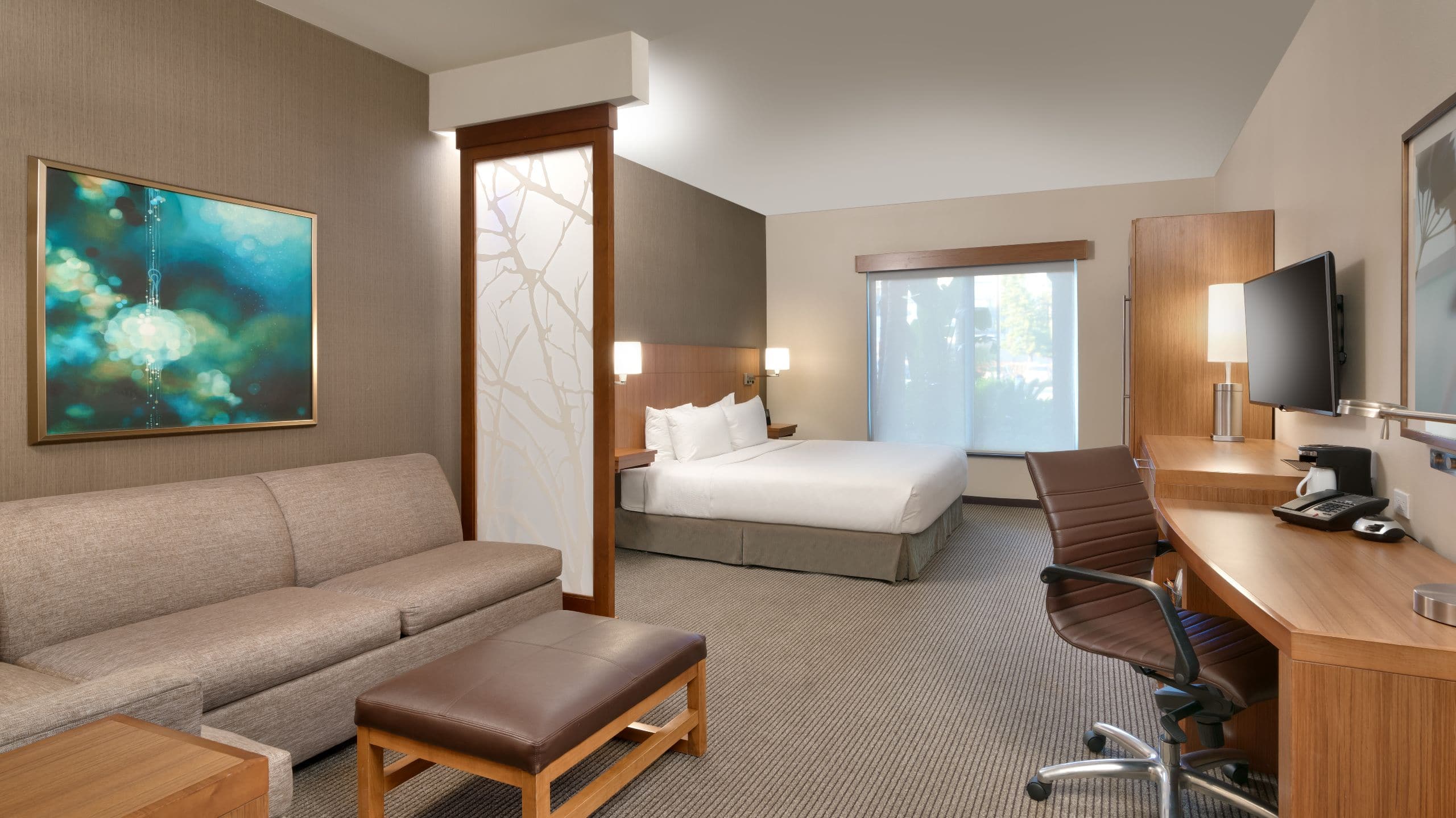 Hyatt Place ADA King Guestroom