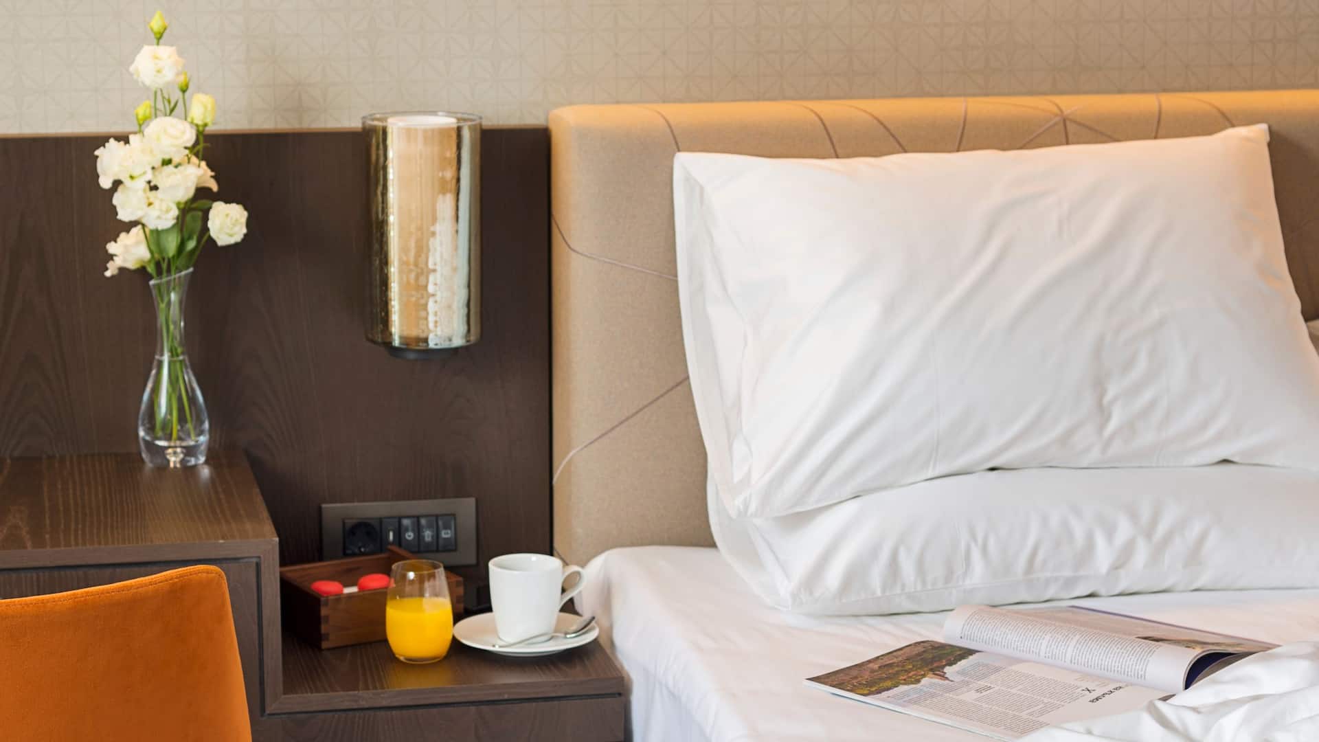 Hyatt Regency Sofia Guestroom Detail