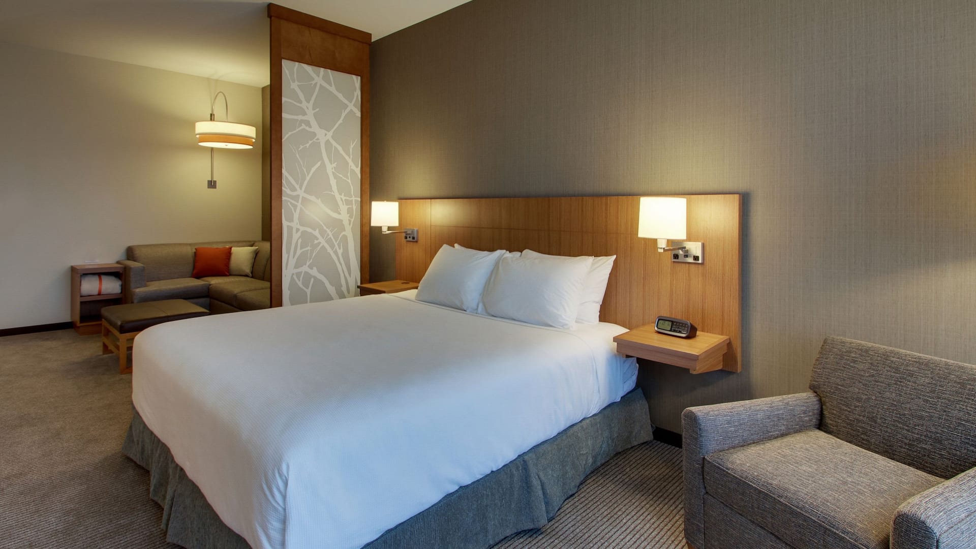 Hyatt Place Milwaukee Downtown Accessible King Guestroom