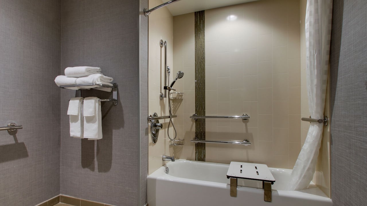 Accessible Bathtub Shower