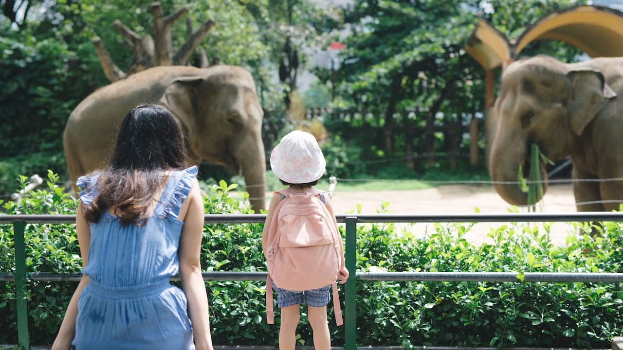 Local Attractions Zoo