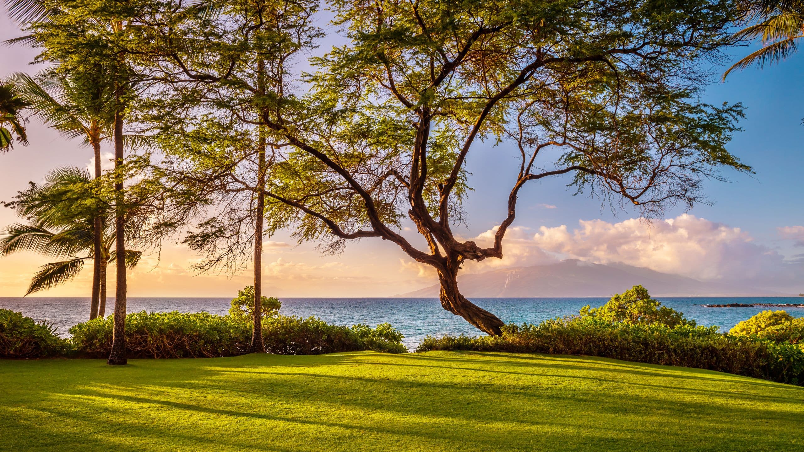 Andaz Maui at Wailea Resort Laulea Lawn