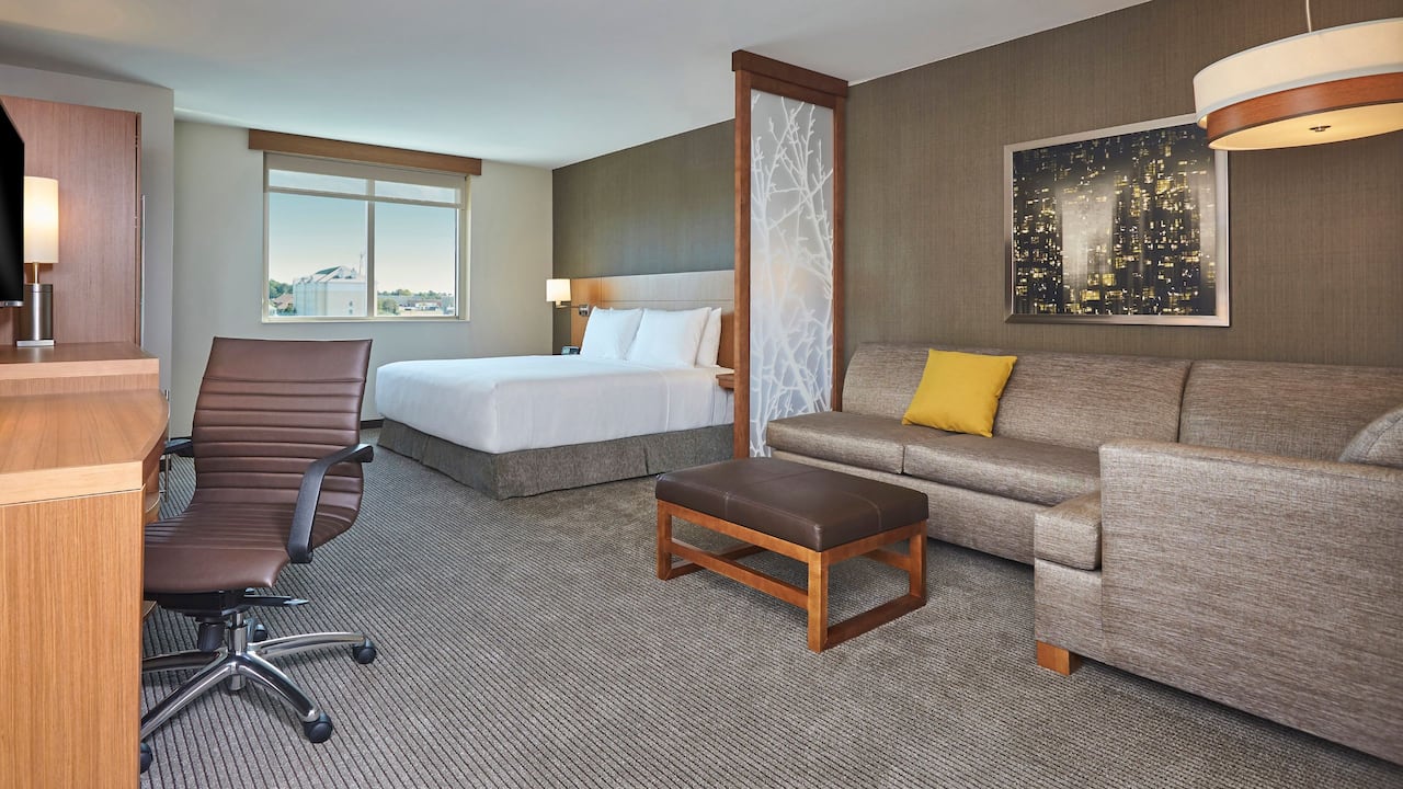 King Guestroom