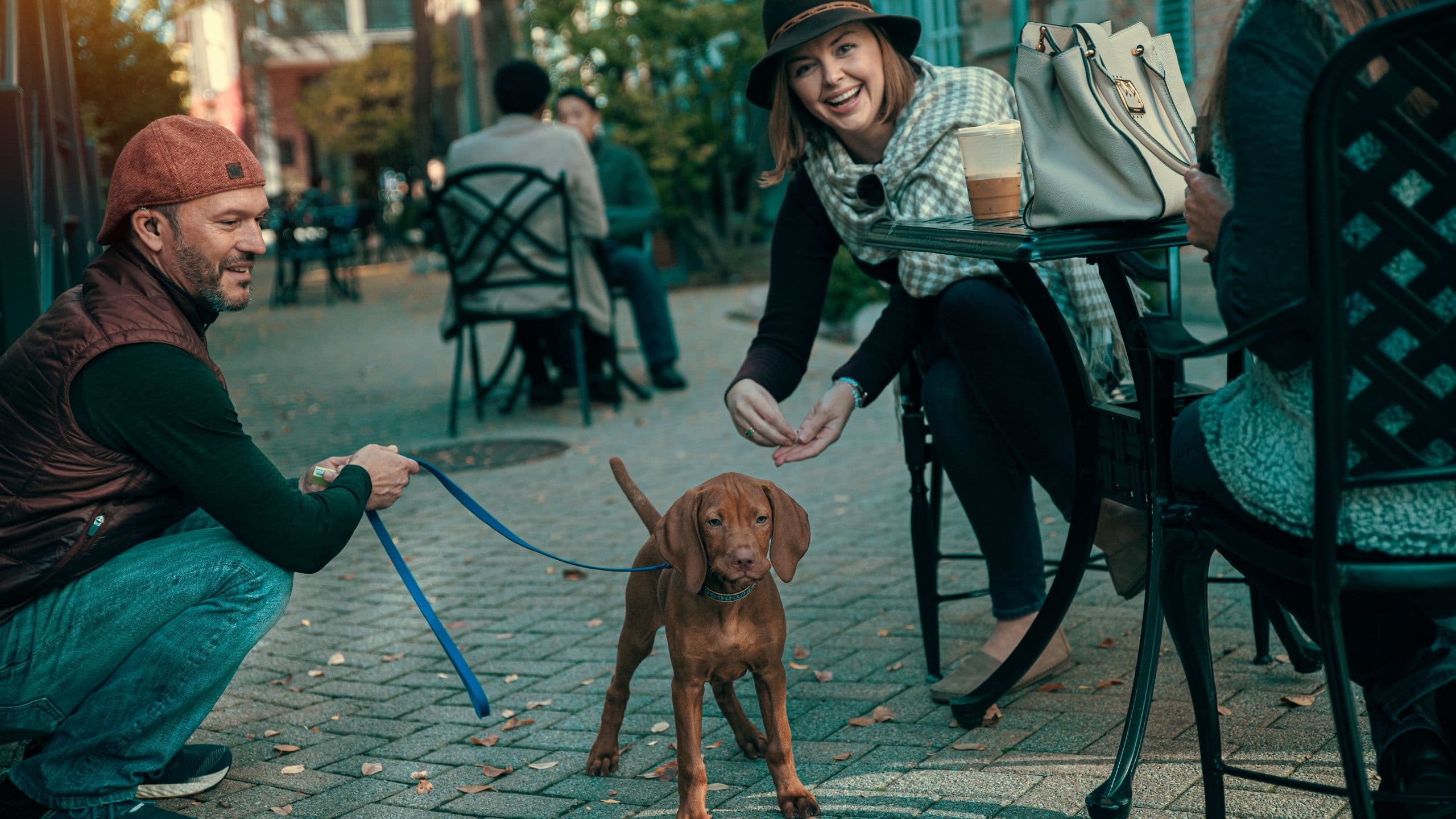 The Forester Hotel Puppy Downtown Lake Forest
