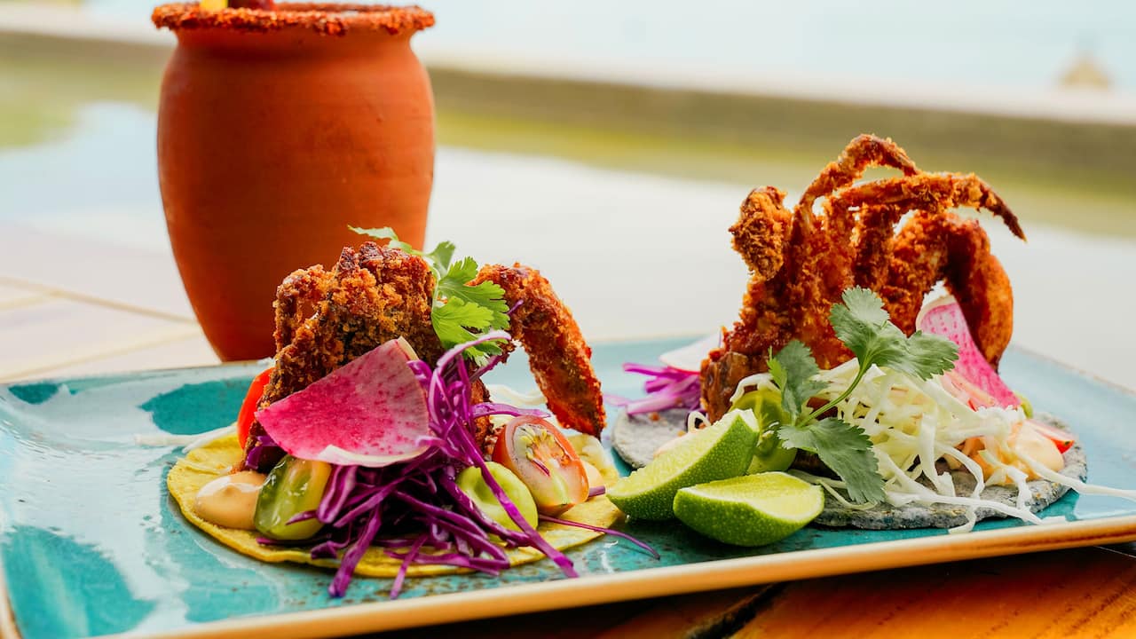 Shrimp tacos and cocktail