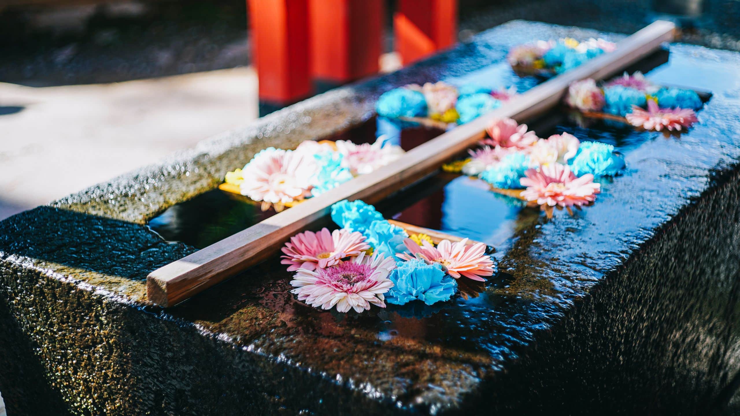 Hyatt Centric Kanazawa Explore Ishiura Shrine Chozu Flower