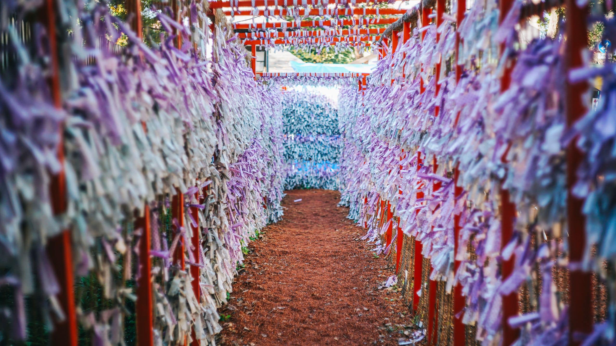 Hyatt Centric Kanazawa Explore Ishiura Shrine Red Gate with Omikuji