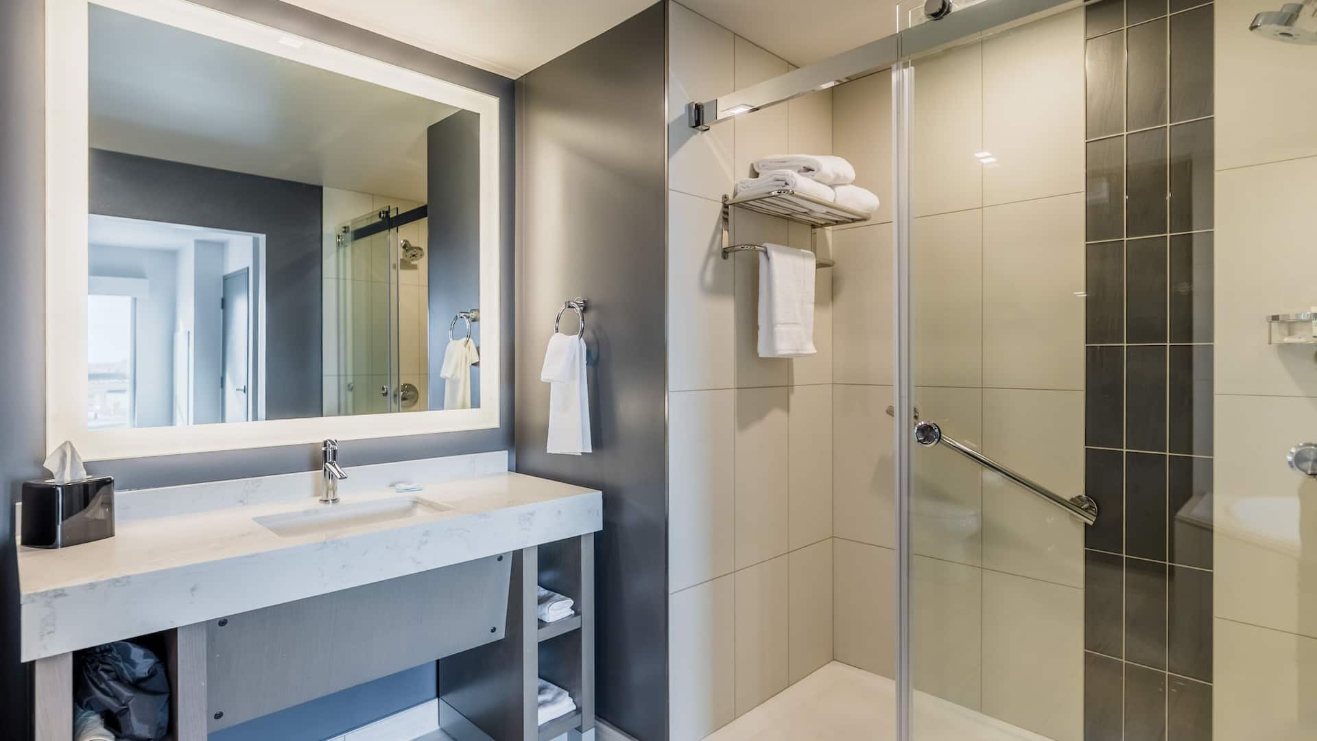 4 de 4 Hyatt House Winnipeg-South/Outlet Collection Guest Bathroom