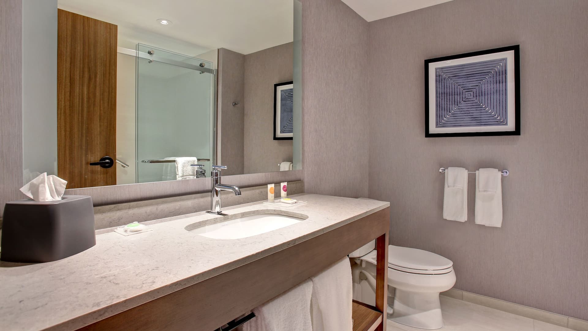 2/3 Hyatt Place at Wichita State University Guest Bathroom