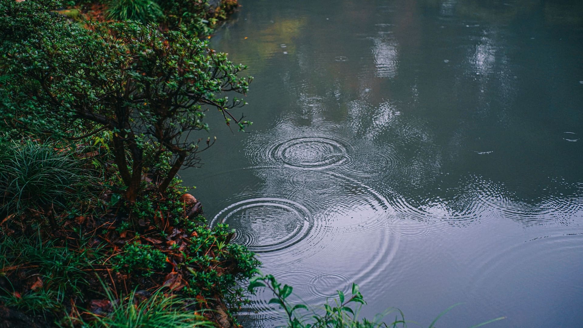 Hyatt House Kanazawa Oyama Shirine Ripples