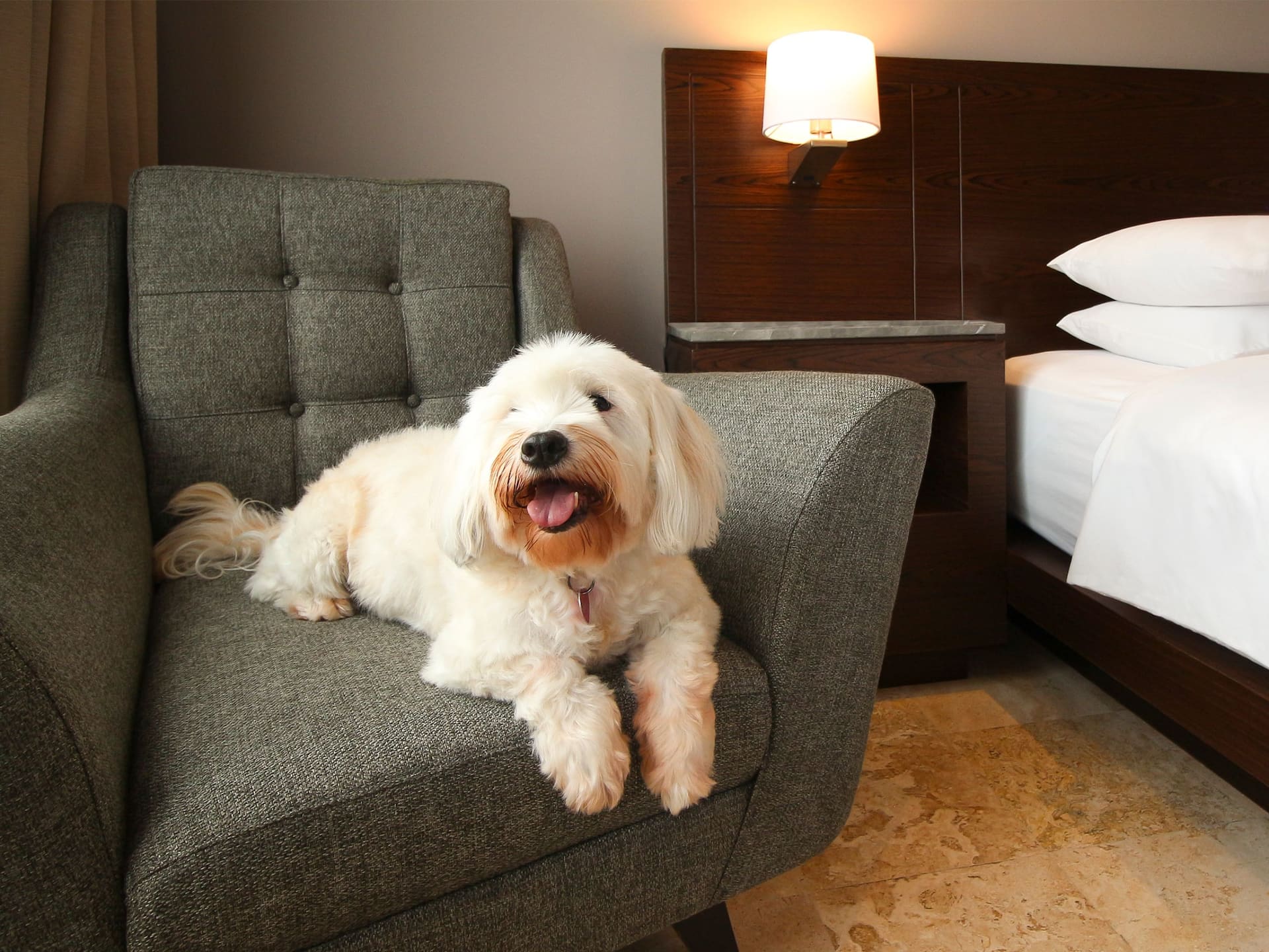 Hyatt Regency Villahermosa Pet Friendly Room
