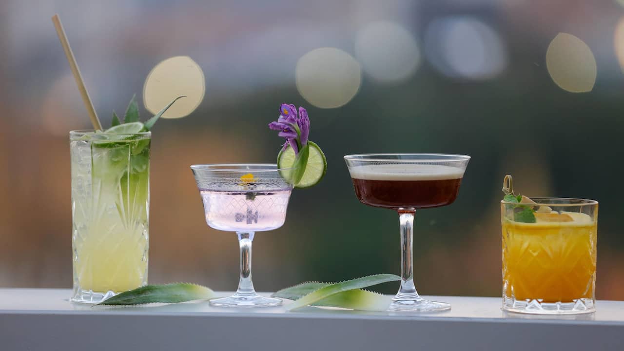 Sundowners