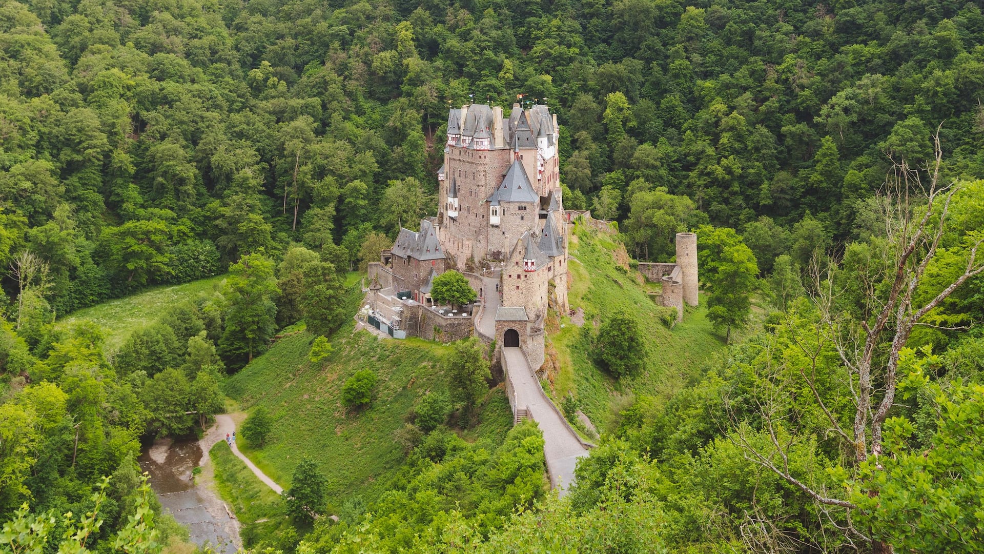 Ruins of Burg Eltz on a hill surrounded by trees, a day trip attraction in the surrounding area of Hyatt Regency Mainz