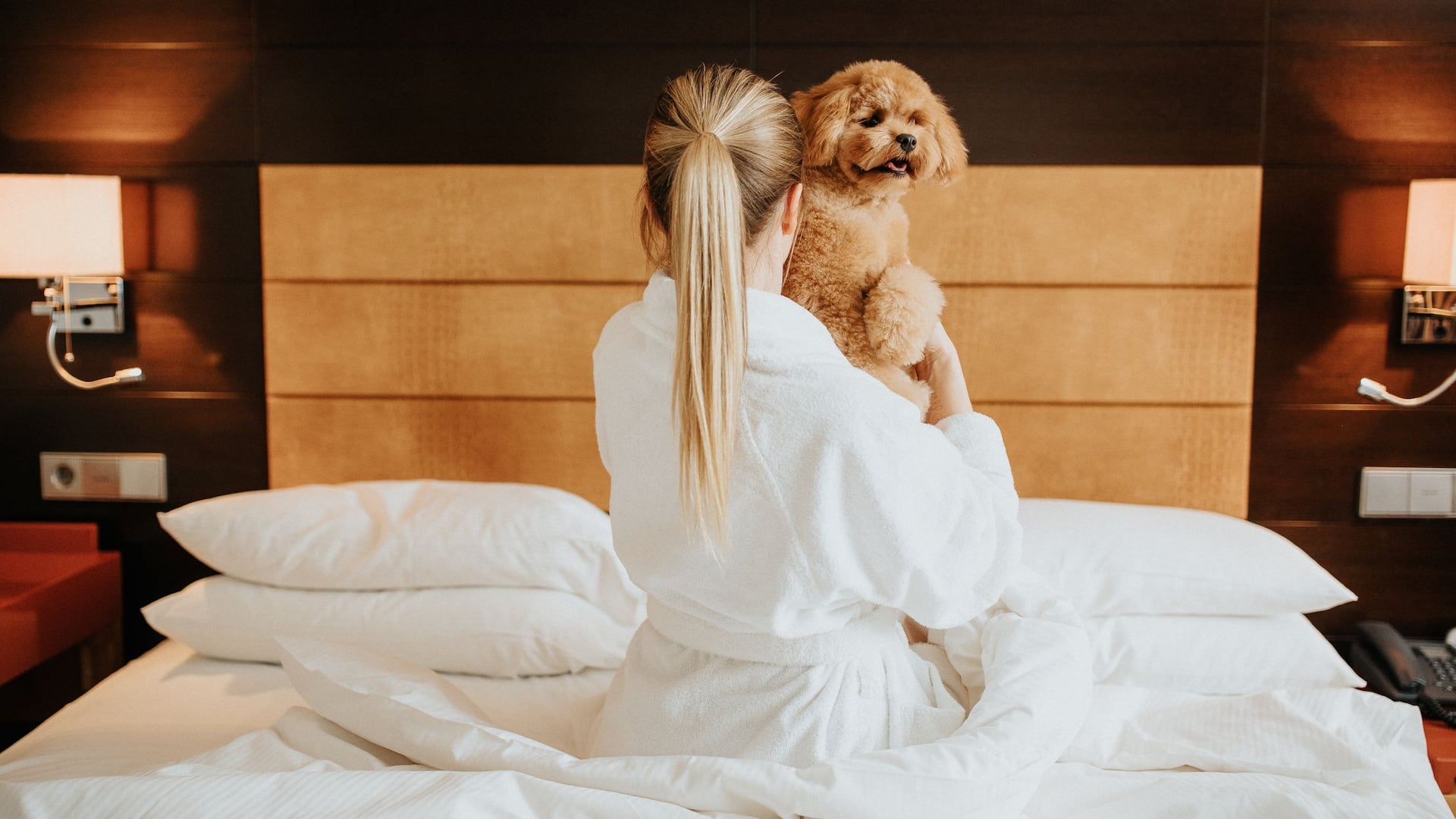 5/6 Hyatt Regency Kyiv Pet Friendly Hotel