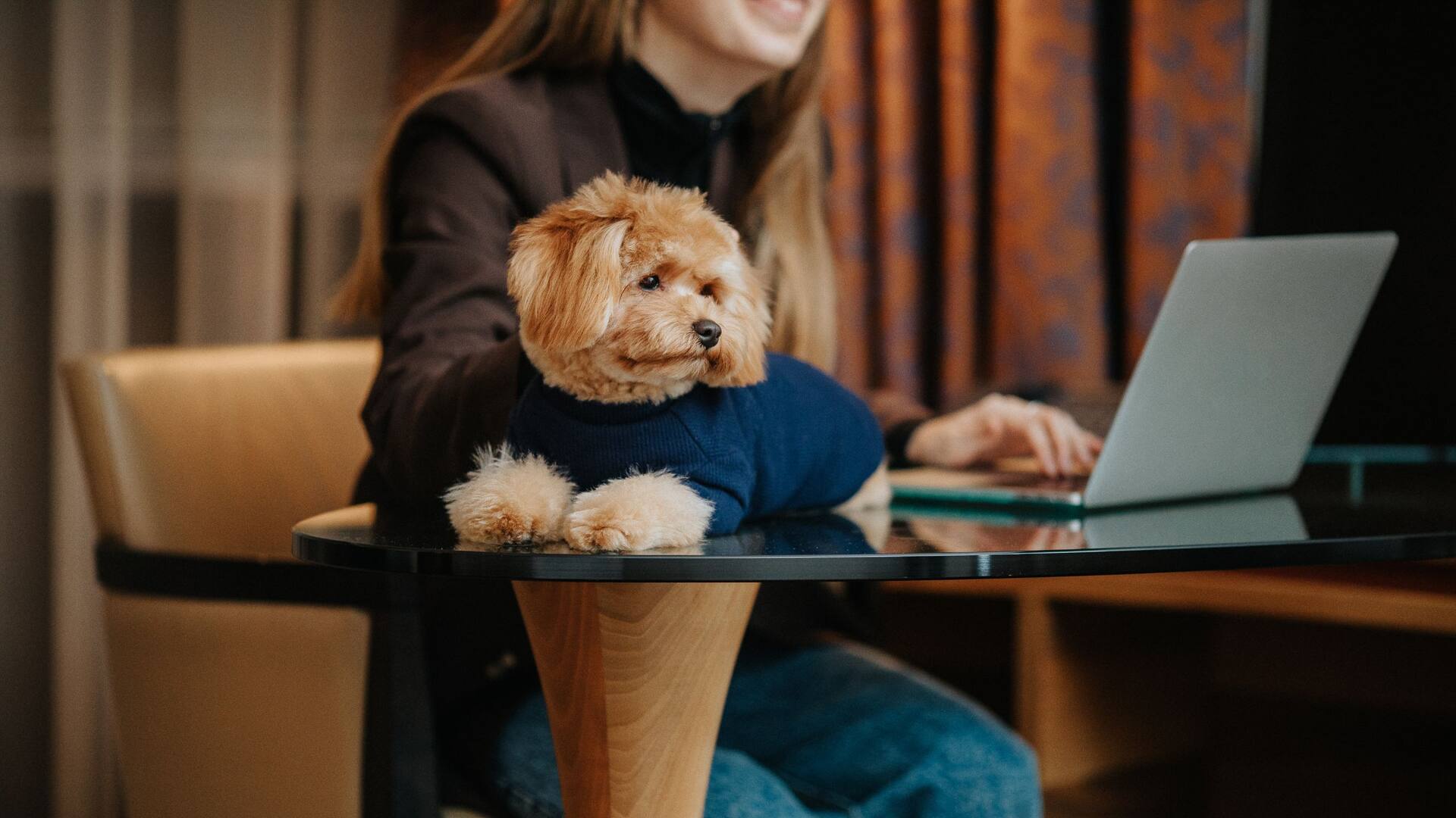 Hyatt Regency Hyatt-Regency-Pet-Friendly-Hotel