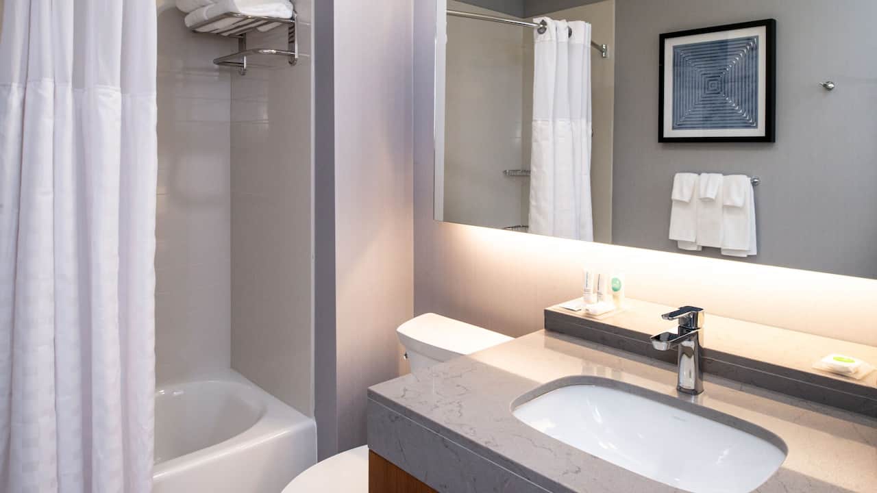 Two Queen Sofabed Bathroom