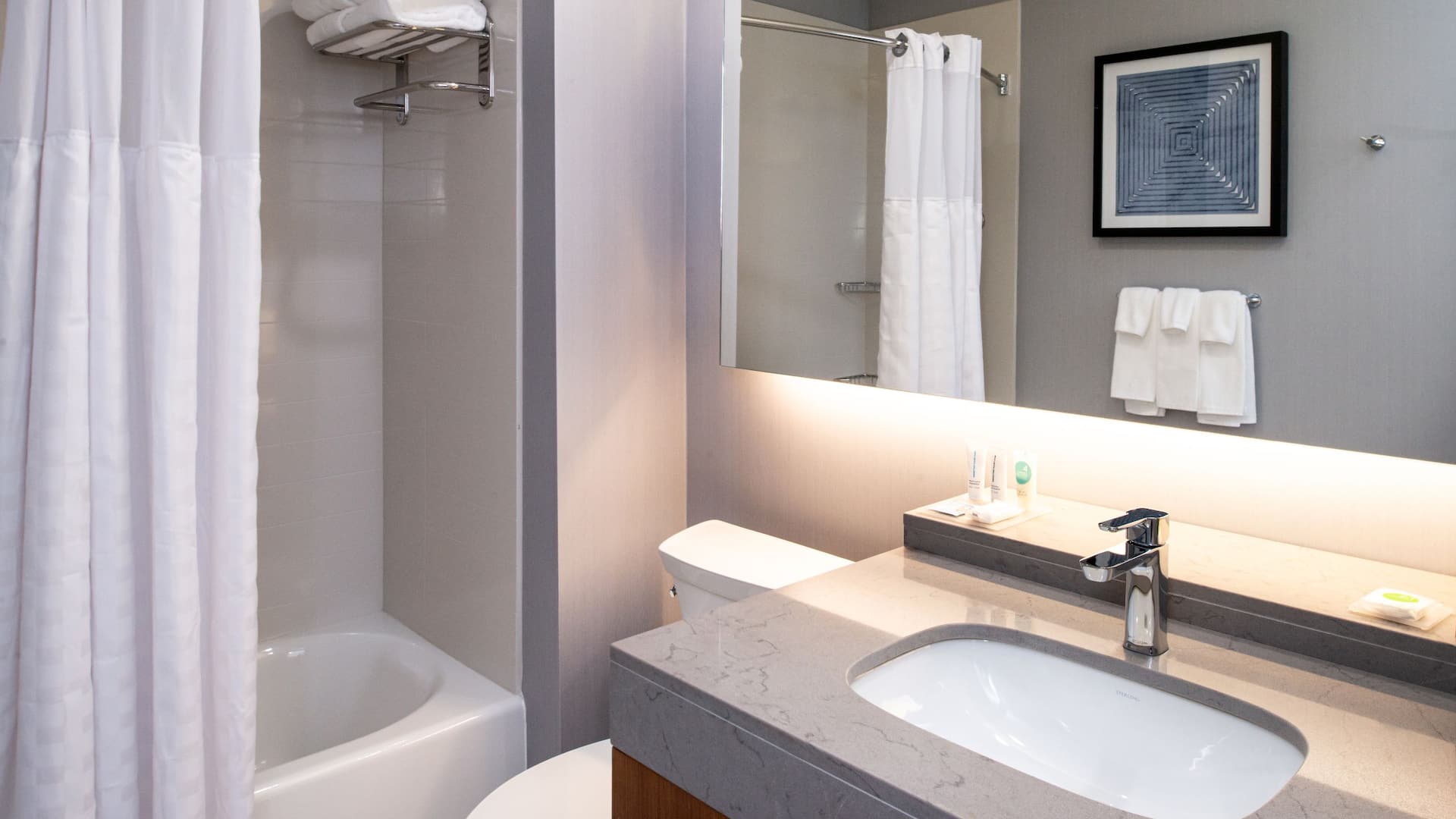 6 de 6 Hyatt Place Dallas / Rockwall Two Queen Sofabed Bathroom