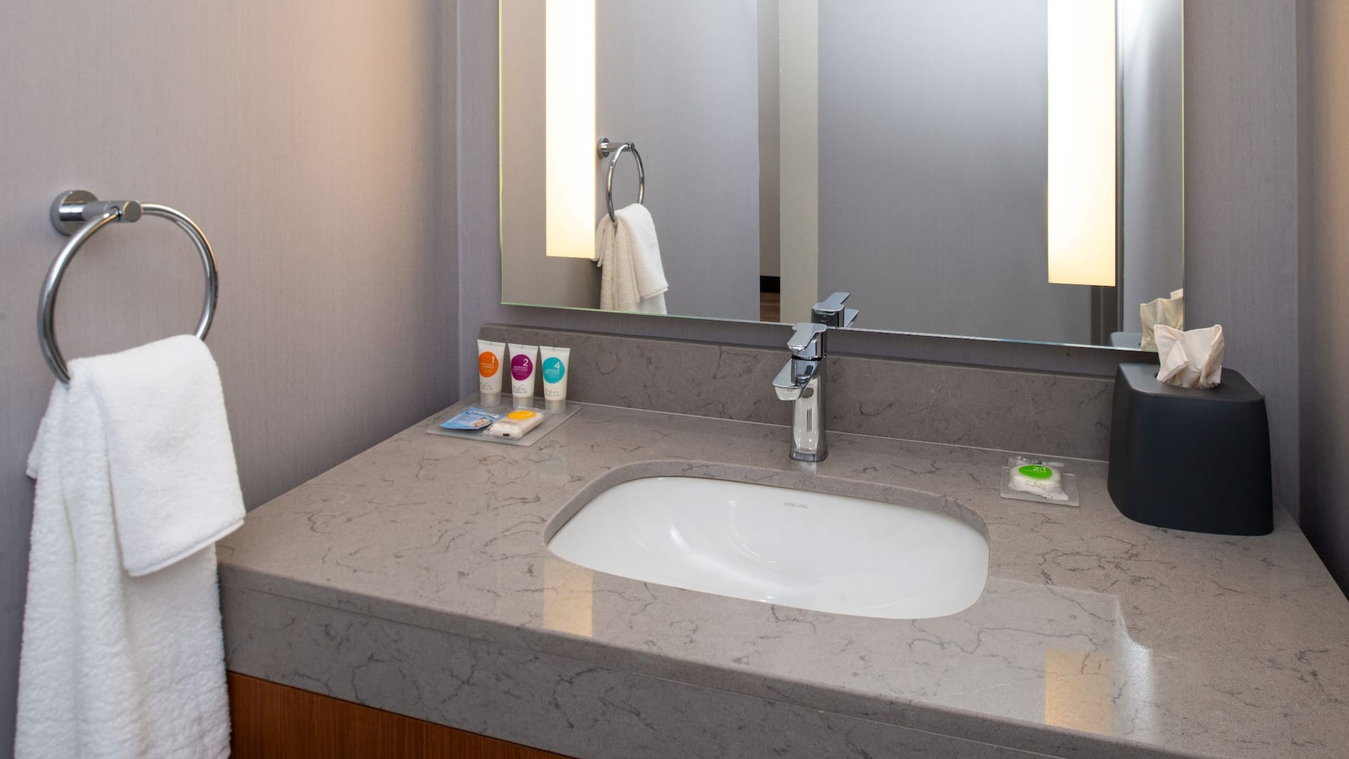 6 de 7 Hyatt Place Dallas / Rockwall King Sofabed ADA Bathroom