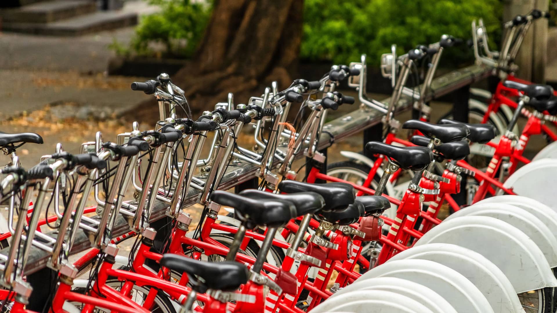 Hyatt Regency Mexico City Bicycle Station