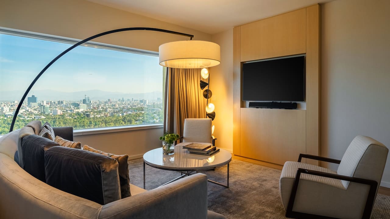 Executive Suite living room with neighborhood views
