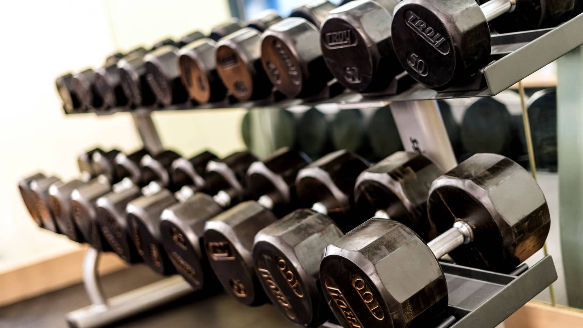 Hyatt Regency Mexico City Fitness Center Weights