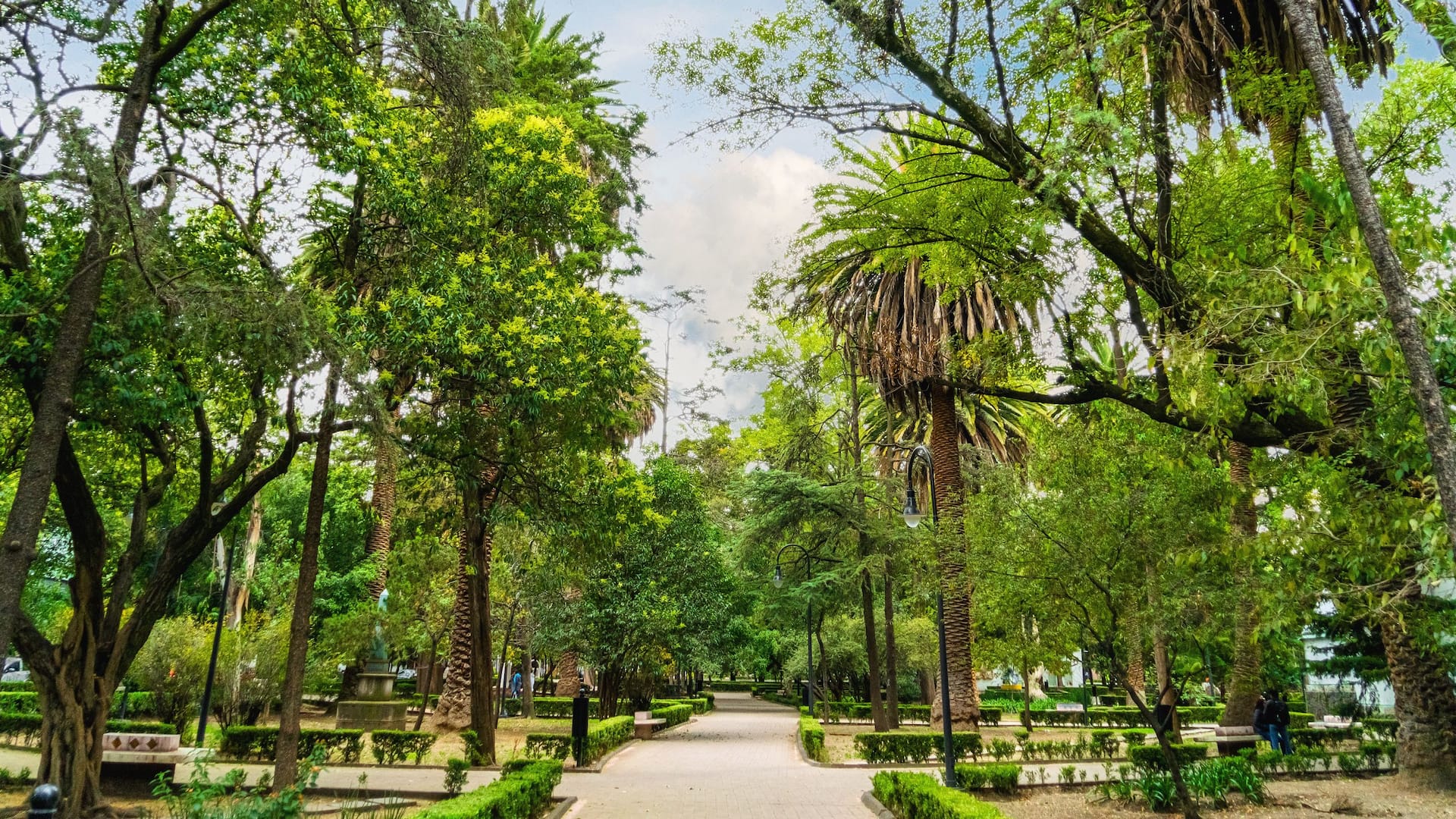 Hyatt Regency Mexico City Lincoln Park